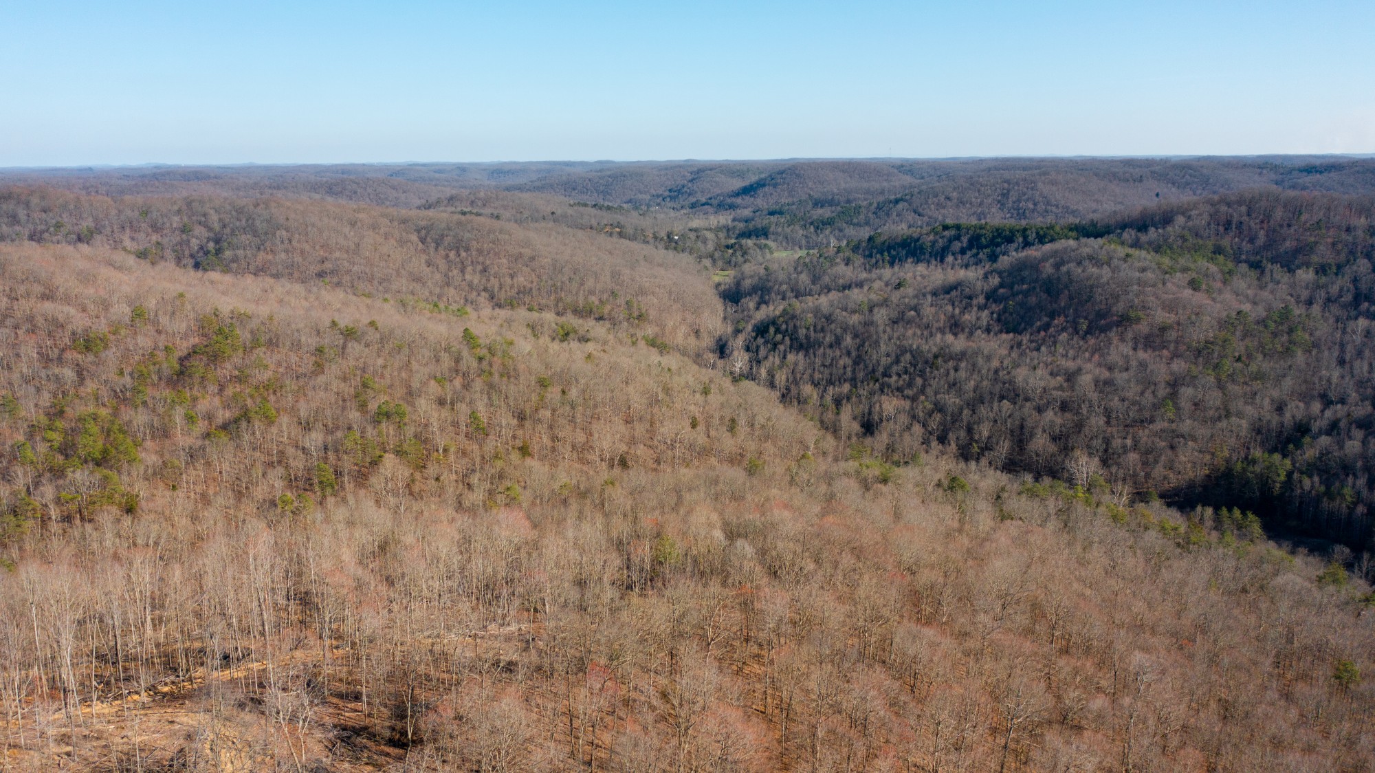 DJI_0426