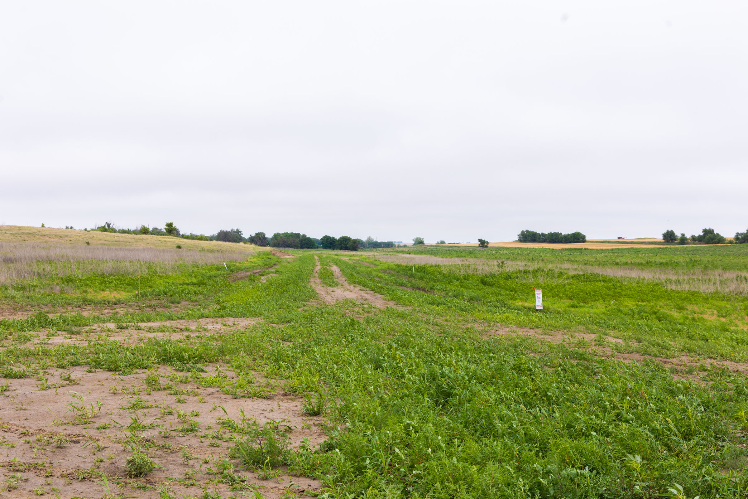 Crandall's Corner Tract 13 photo 3