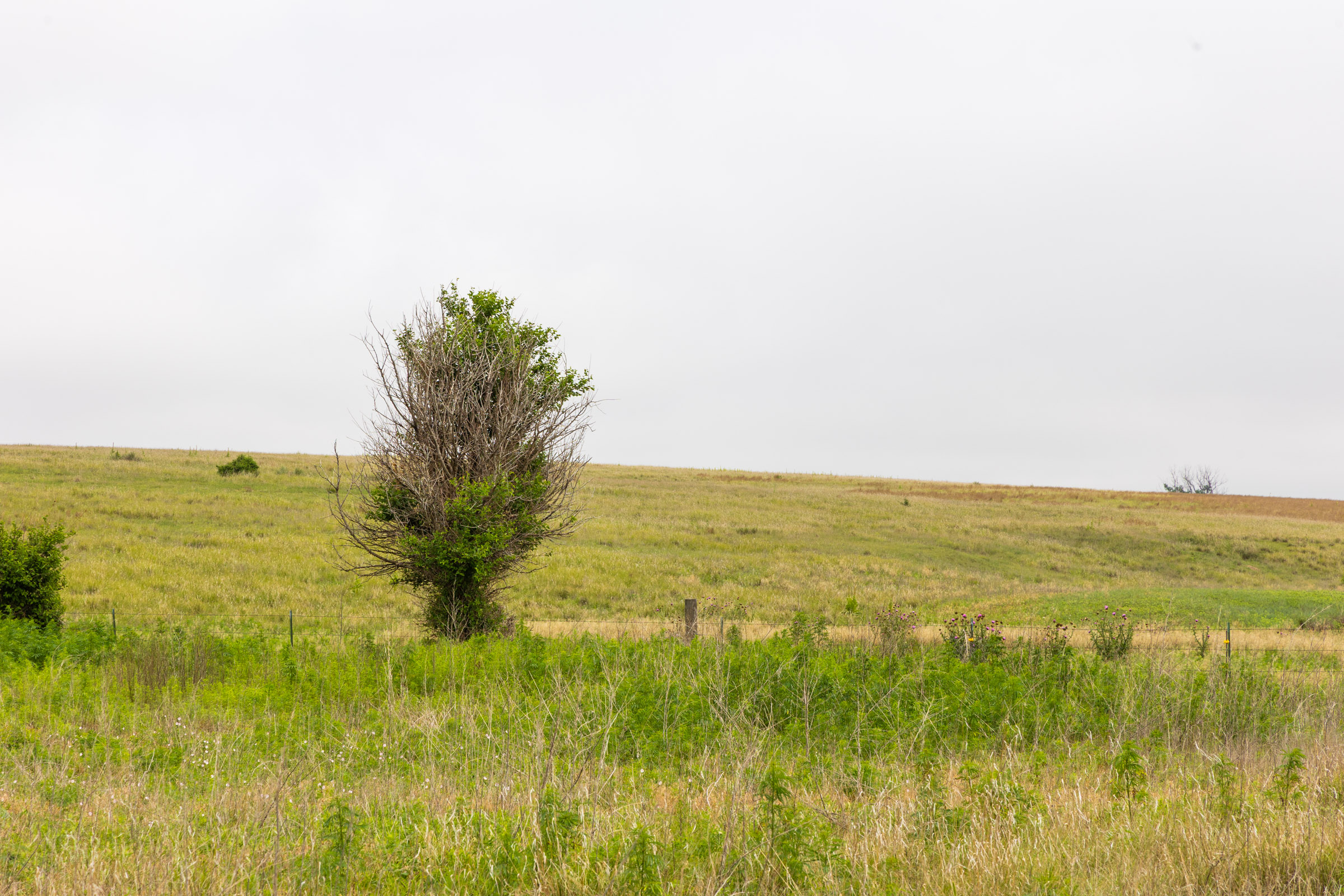 Crandall's Corner Tract 13 photo 6