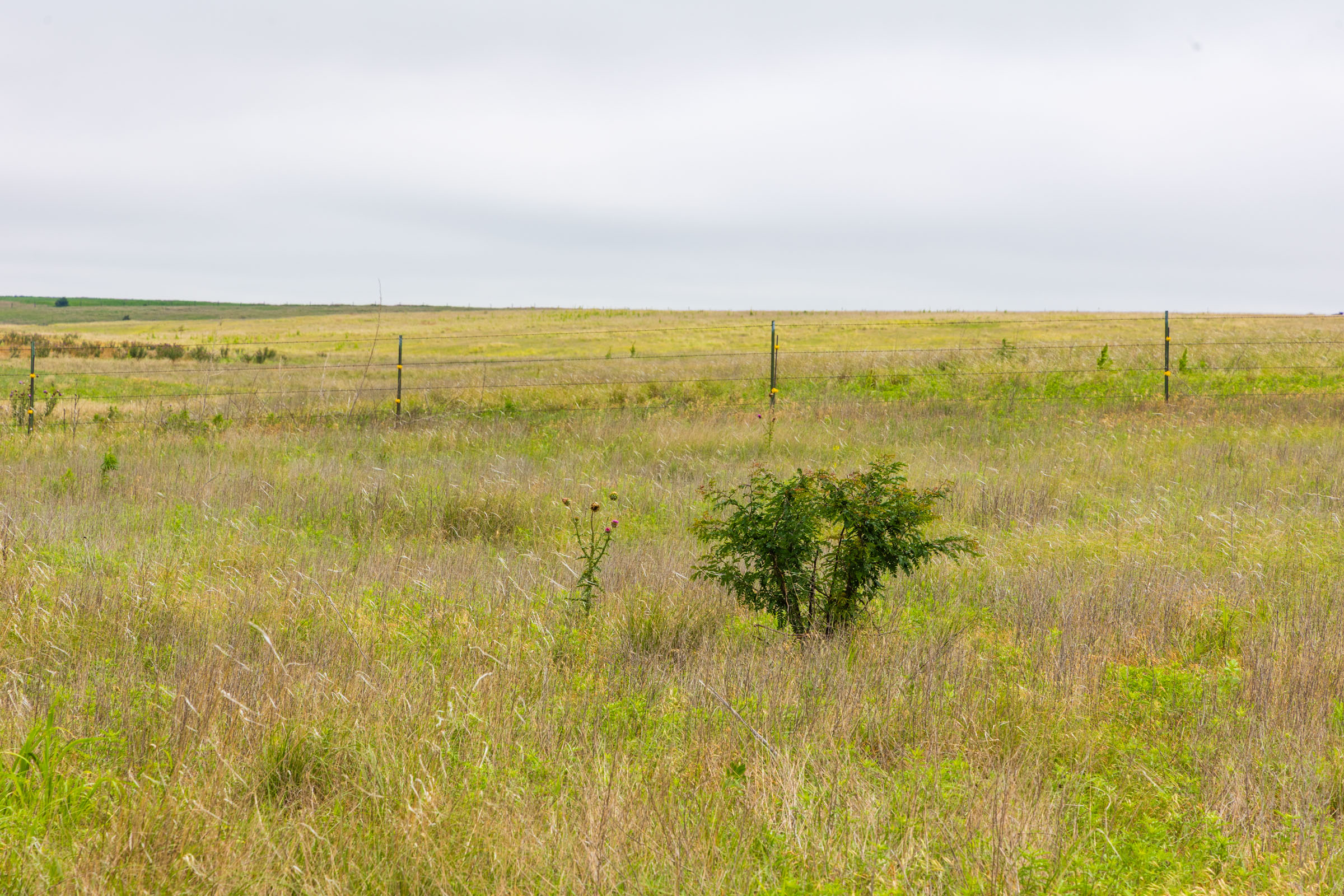Crandall's Corner Tract 13 photo 5