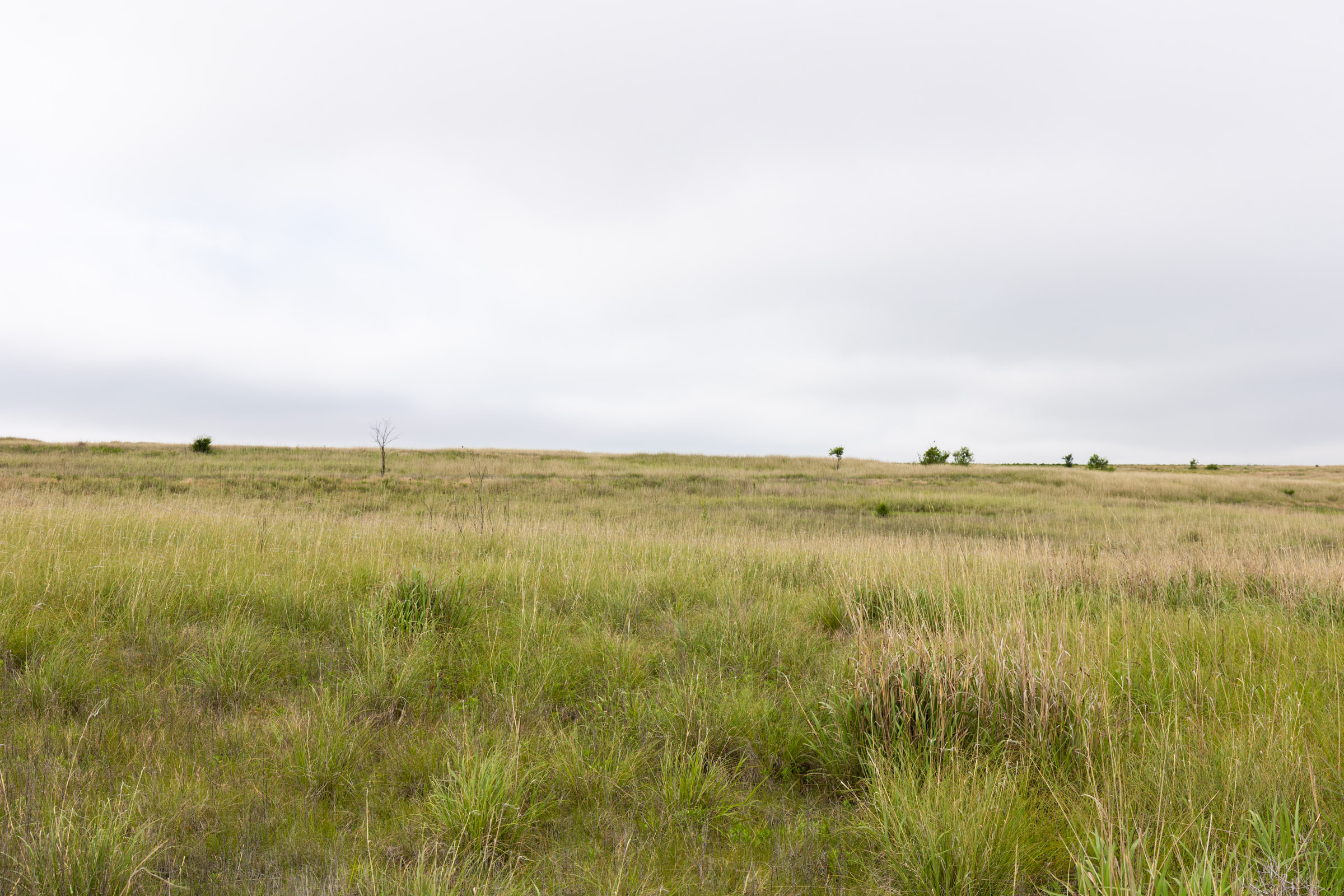 Crandall's Corner Tract 12 photo 6