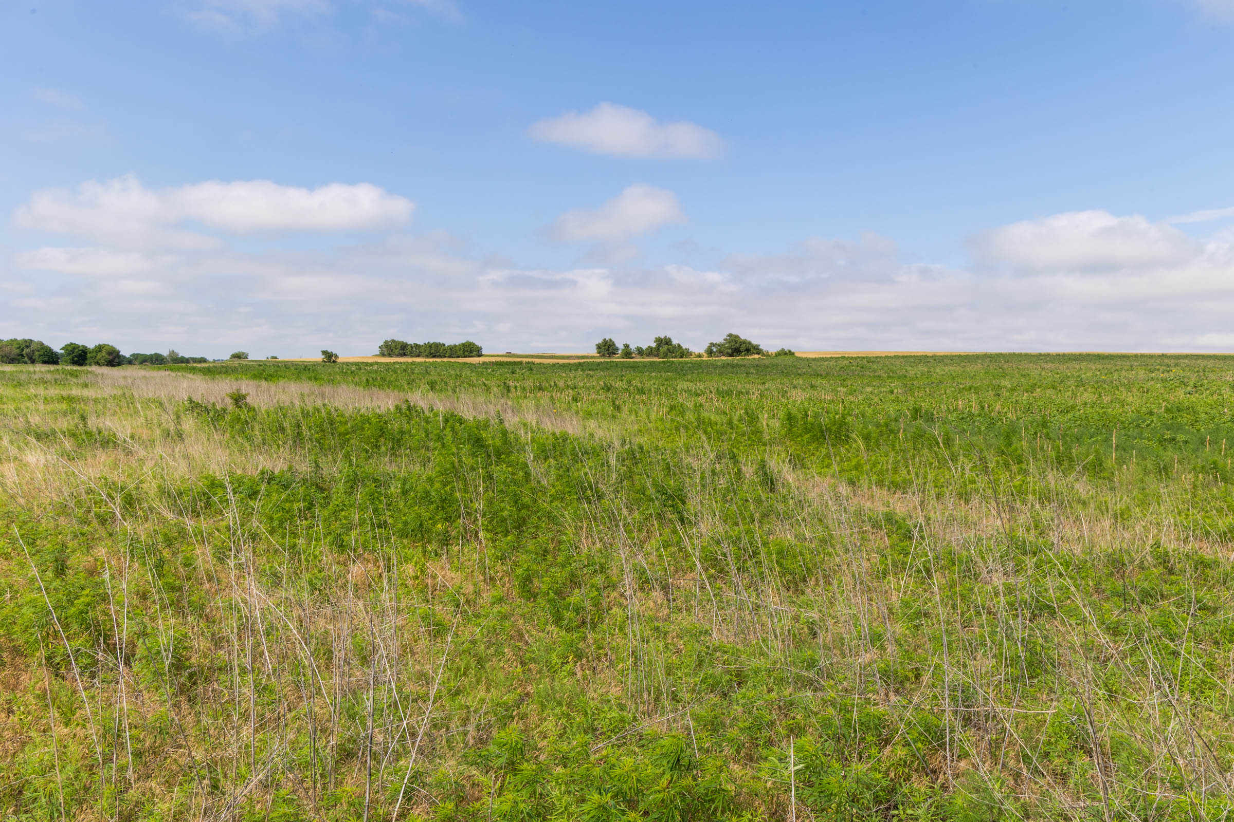 Crandall's Corner Tract 16 photo 6