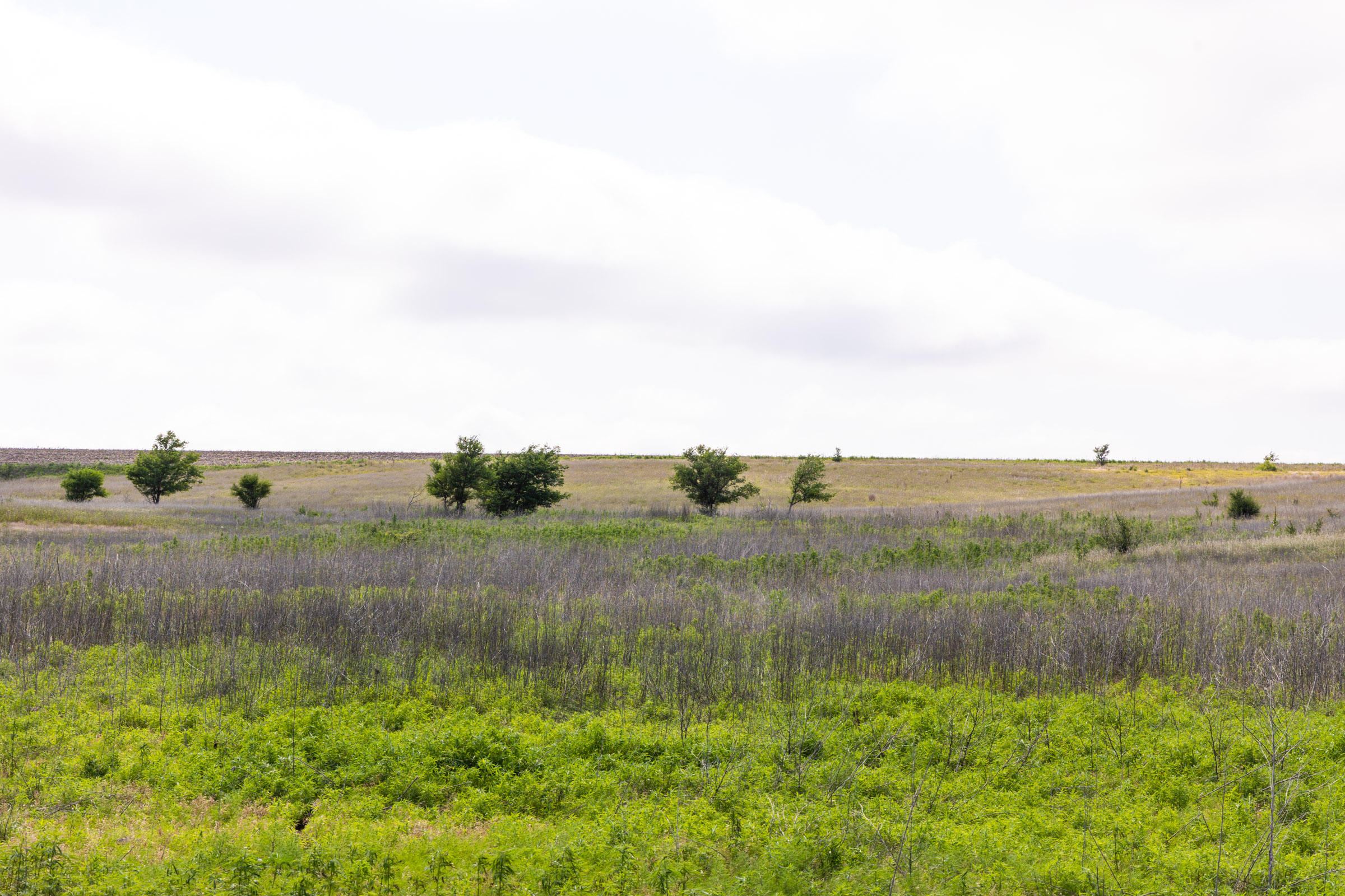 Crandall's Corner Tract 10 photo 4