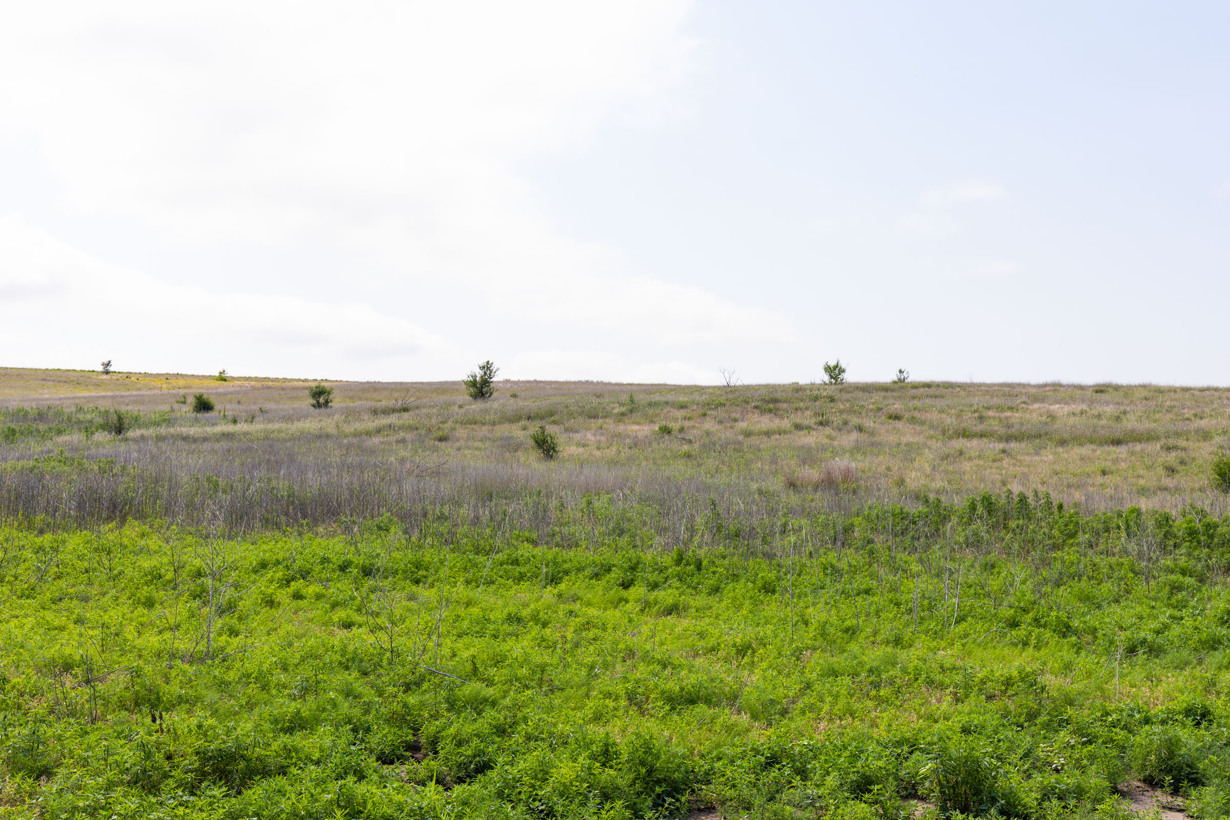 Crandall's Corner Tract 10 photo 5