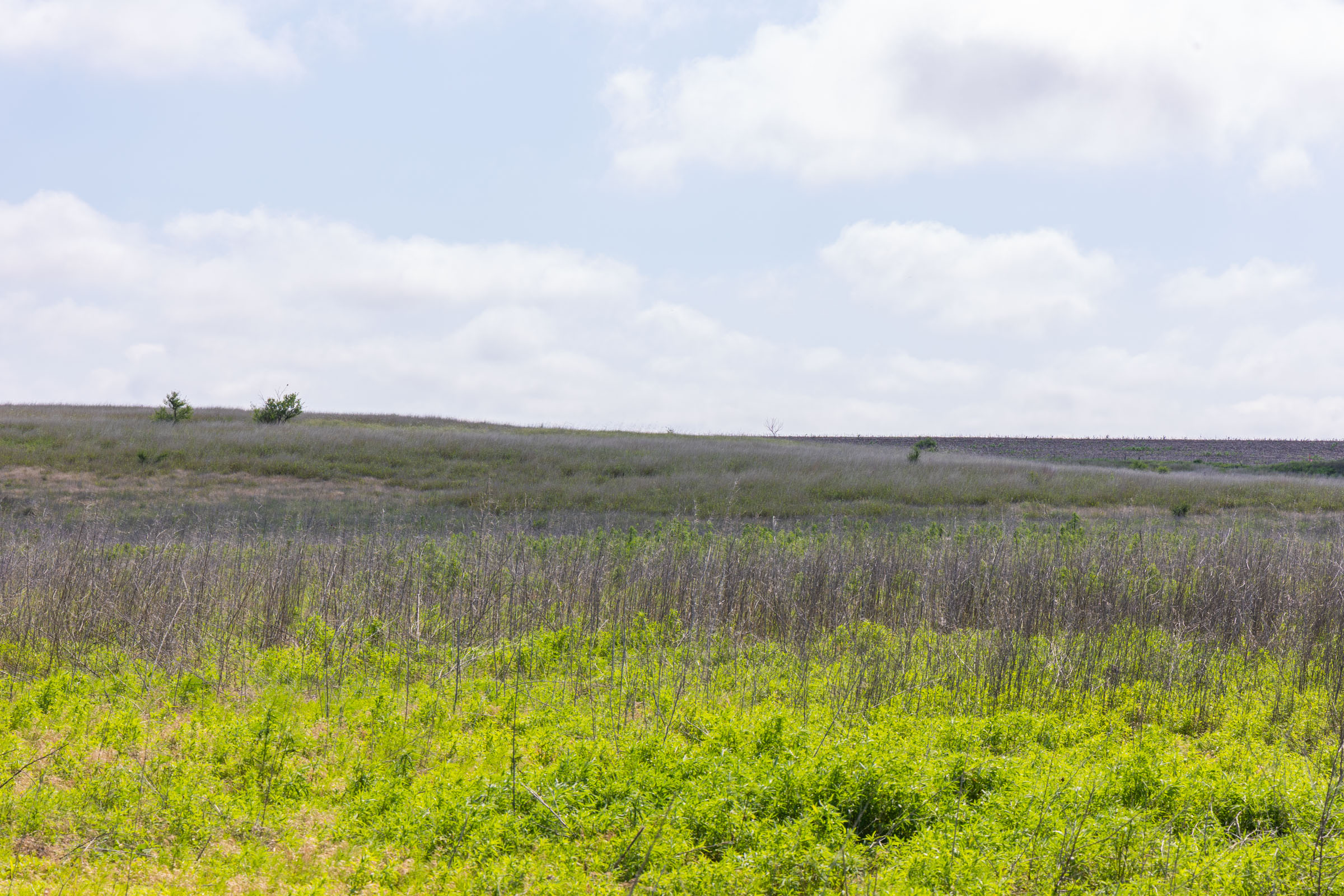 Crandall's Corner Tract 10 photo 7
