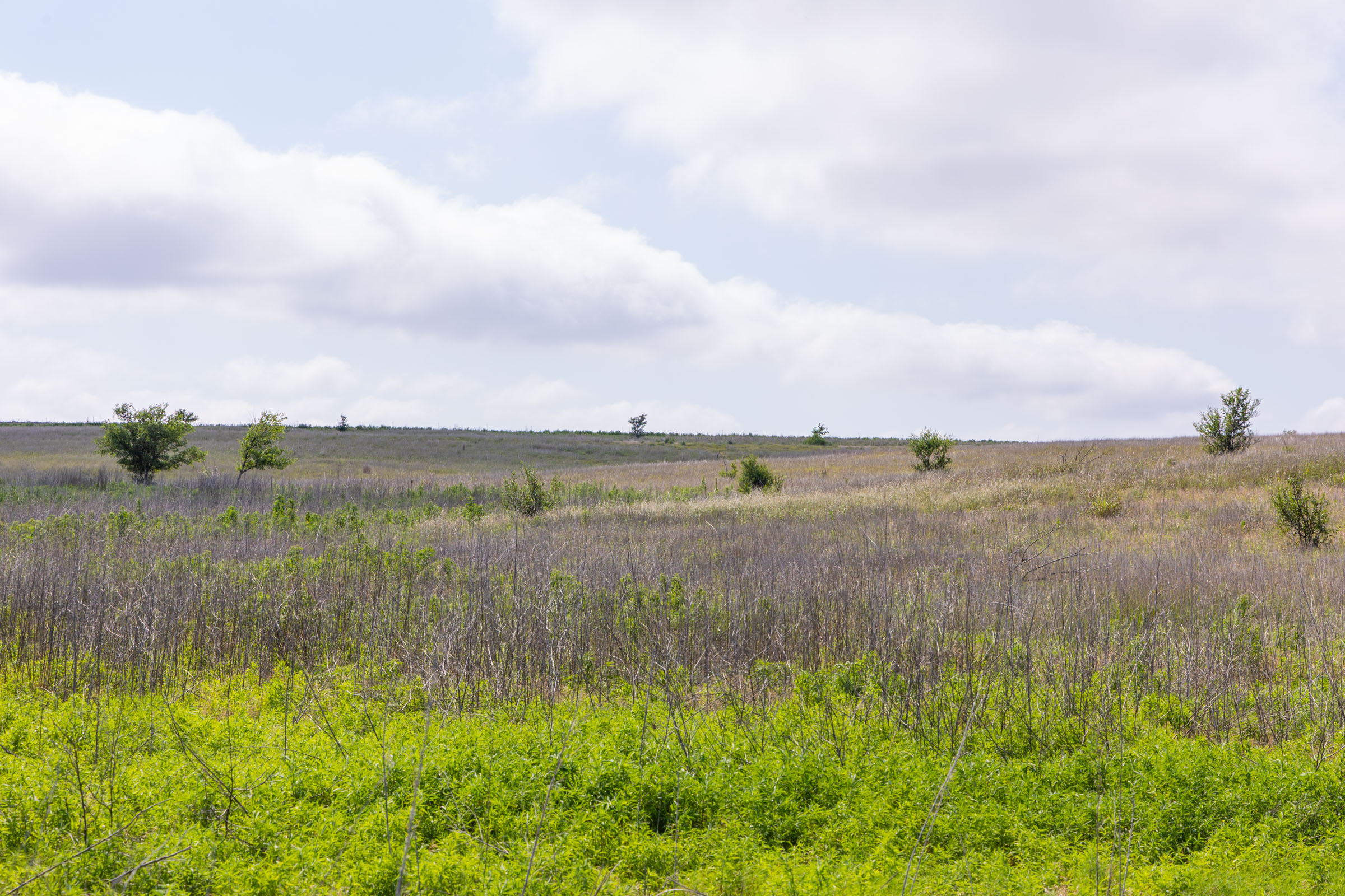 Crandall's Corner Tract 10 photo 8