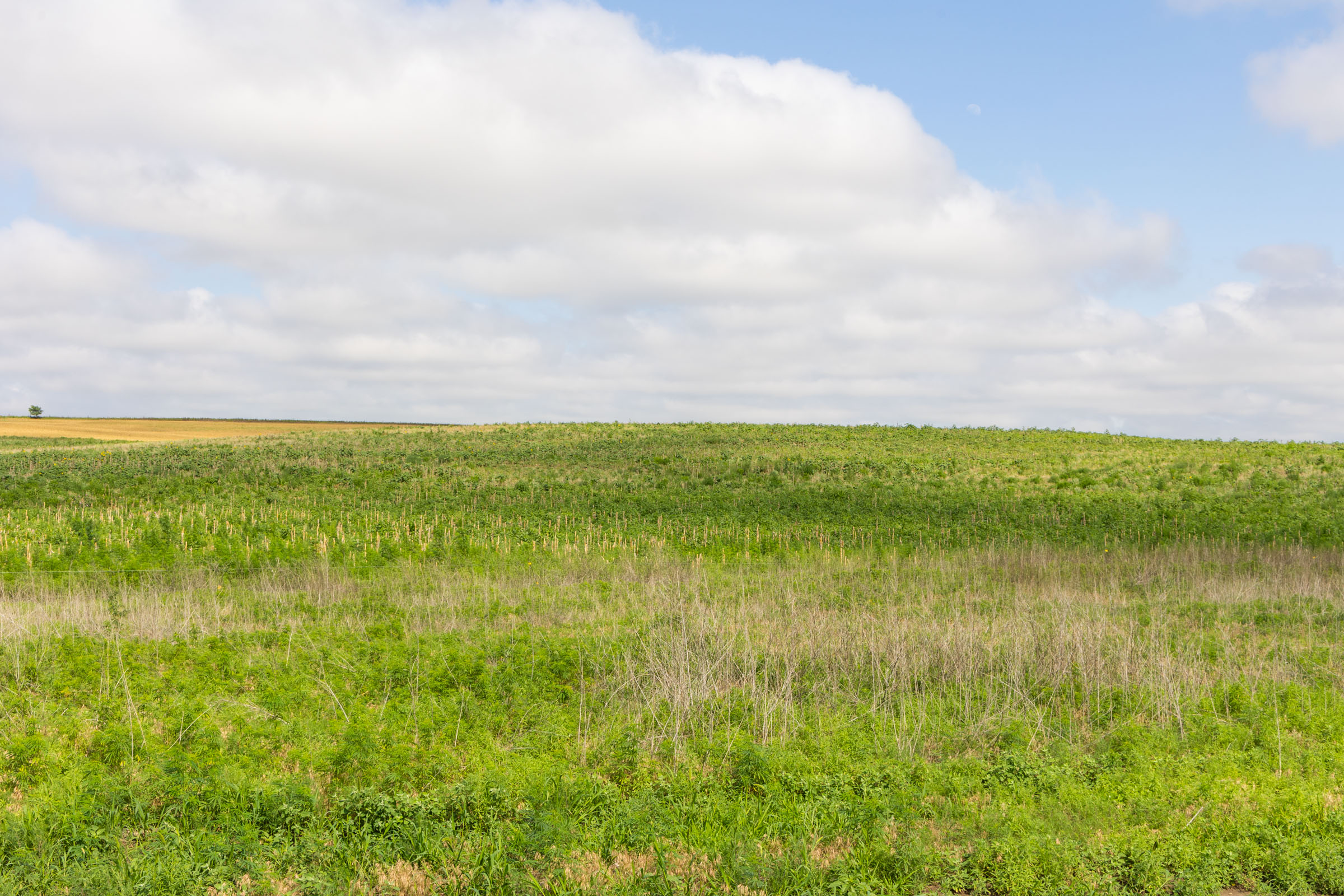 Crandall's Corner Tract 17 photo 4