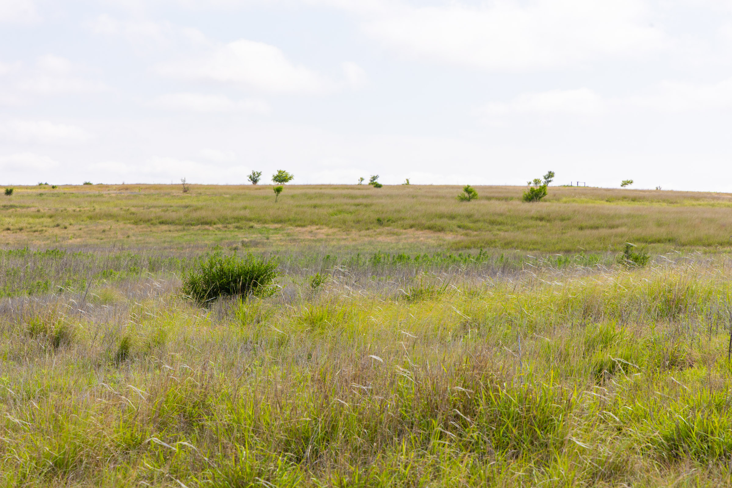 Crandall's Corner Tract 9 photo 9