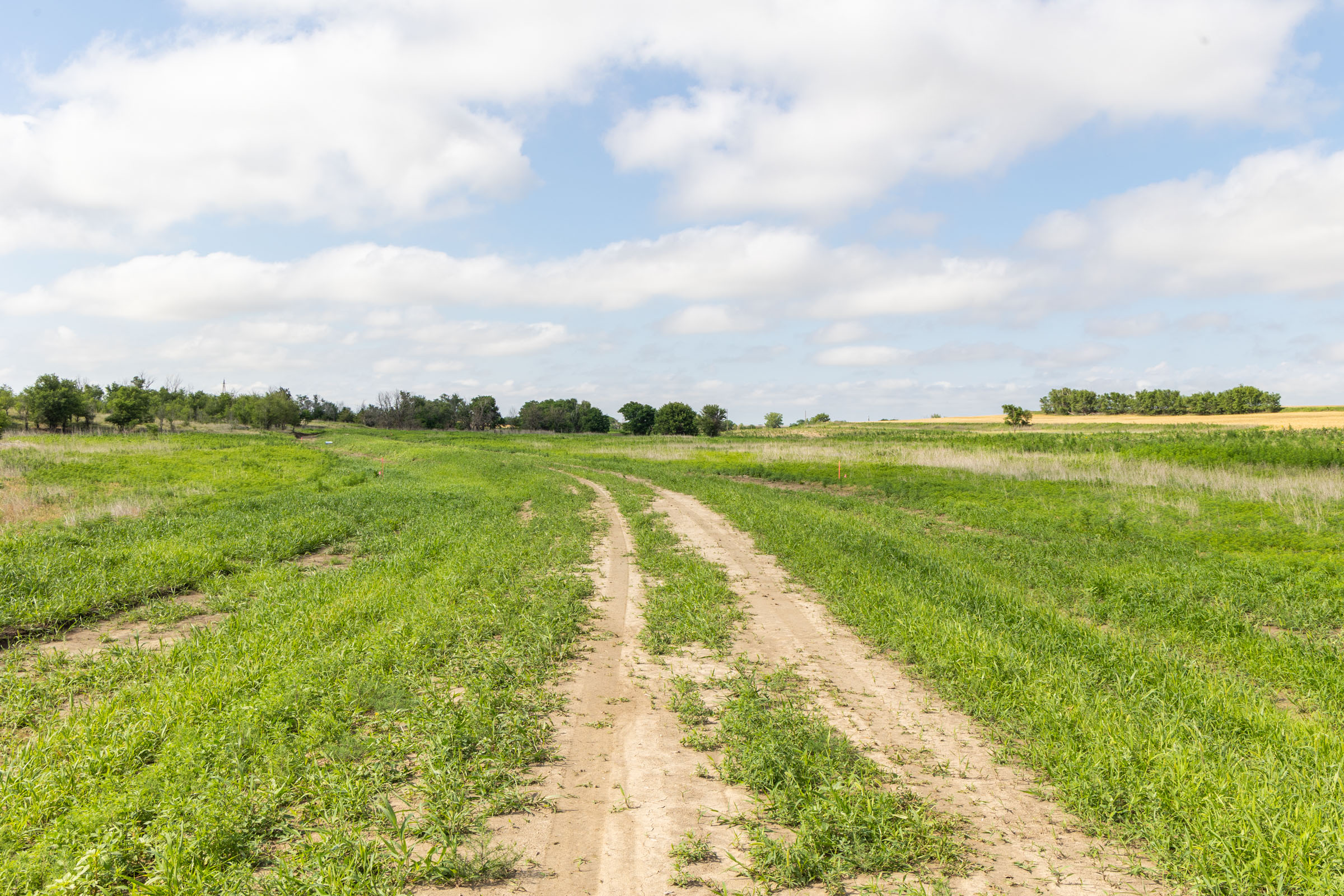 Crandall's Corner Tract 8 photo 3