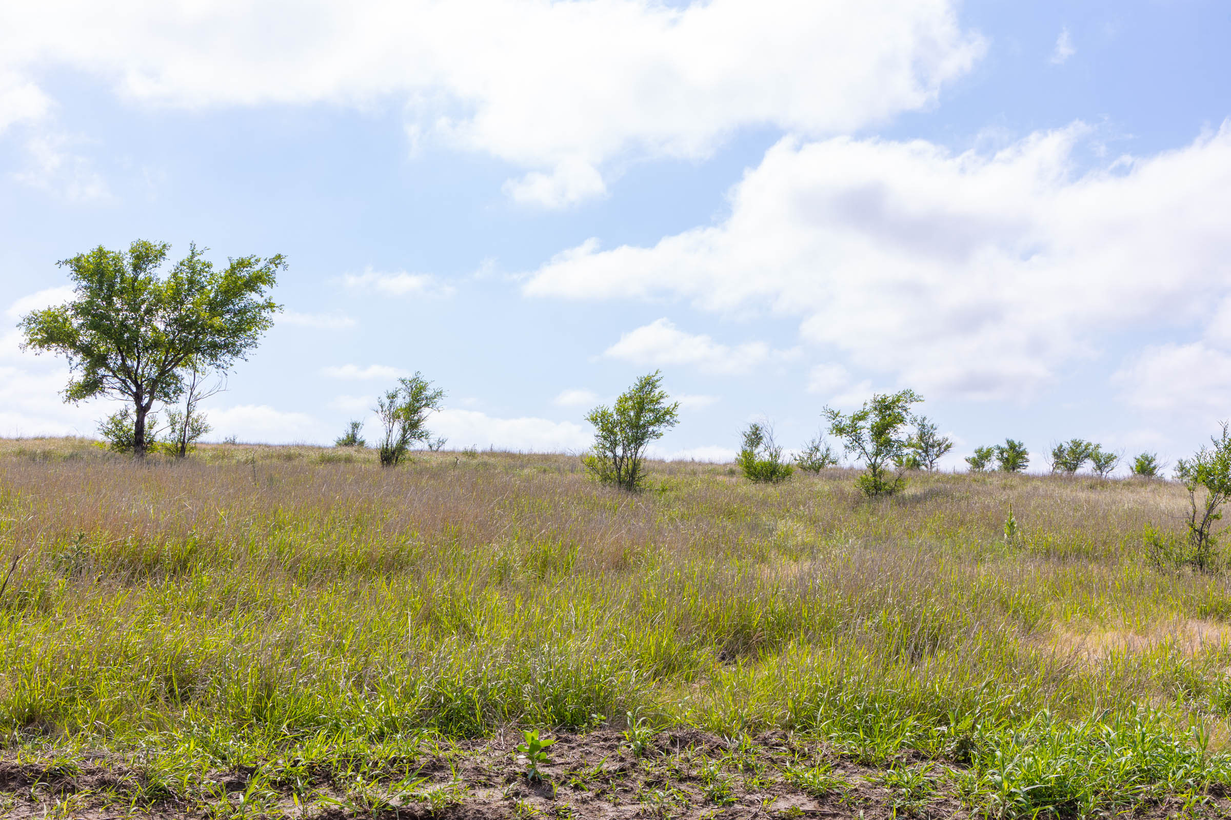 Crandall's Corner Tract 8 photo 6