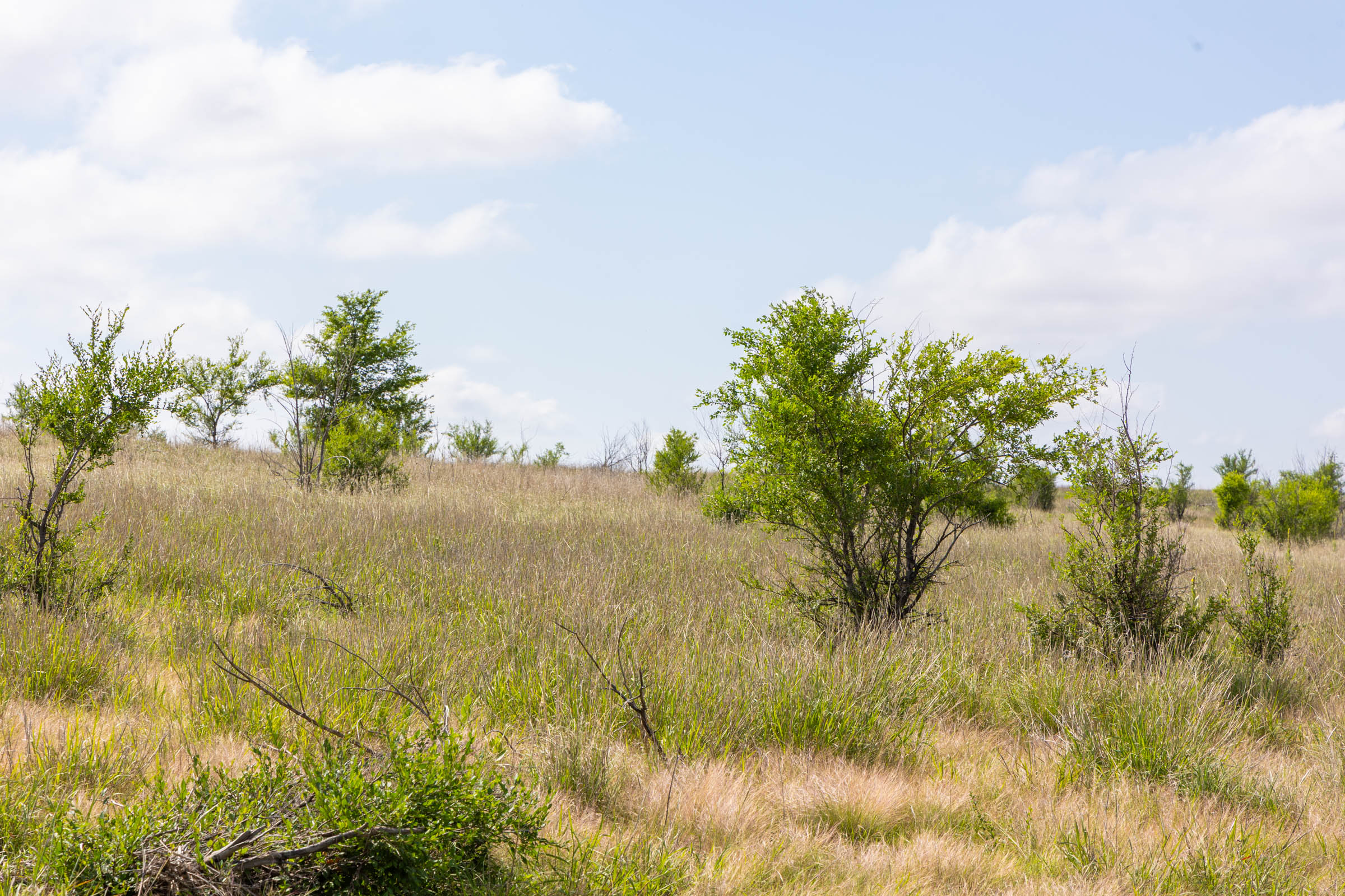 Crandall's Corner Tract 8 photo 10