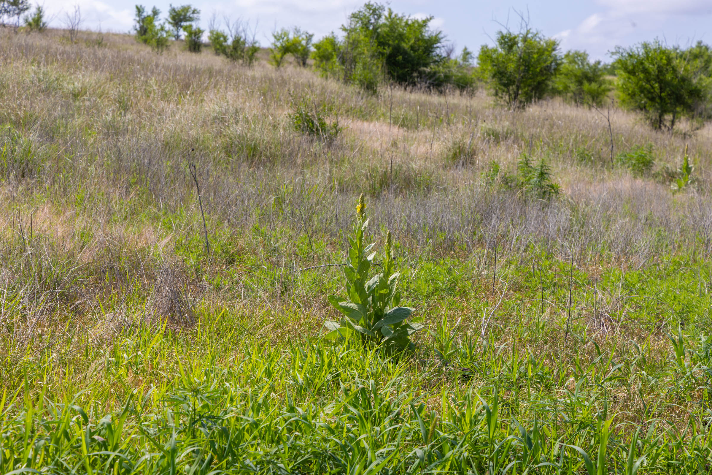 Crandall's Corner Tract 8 photo 11