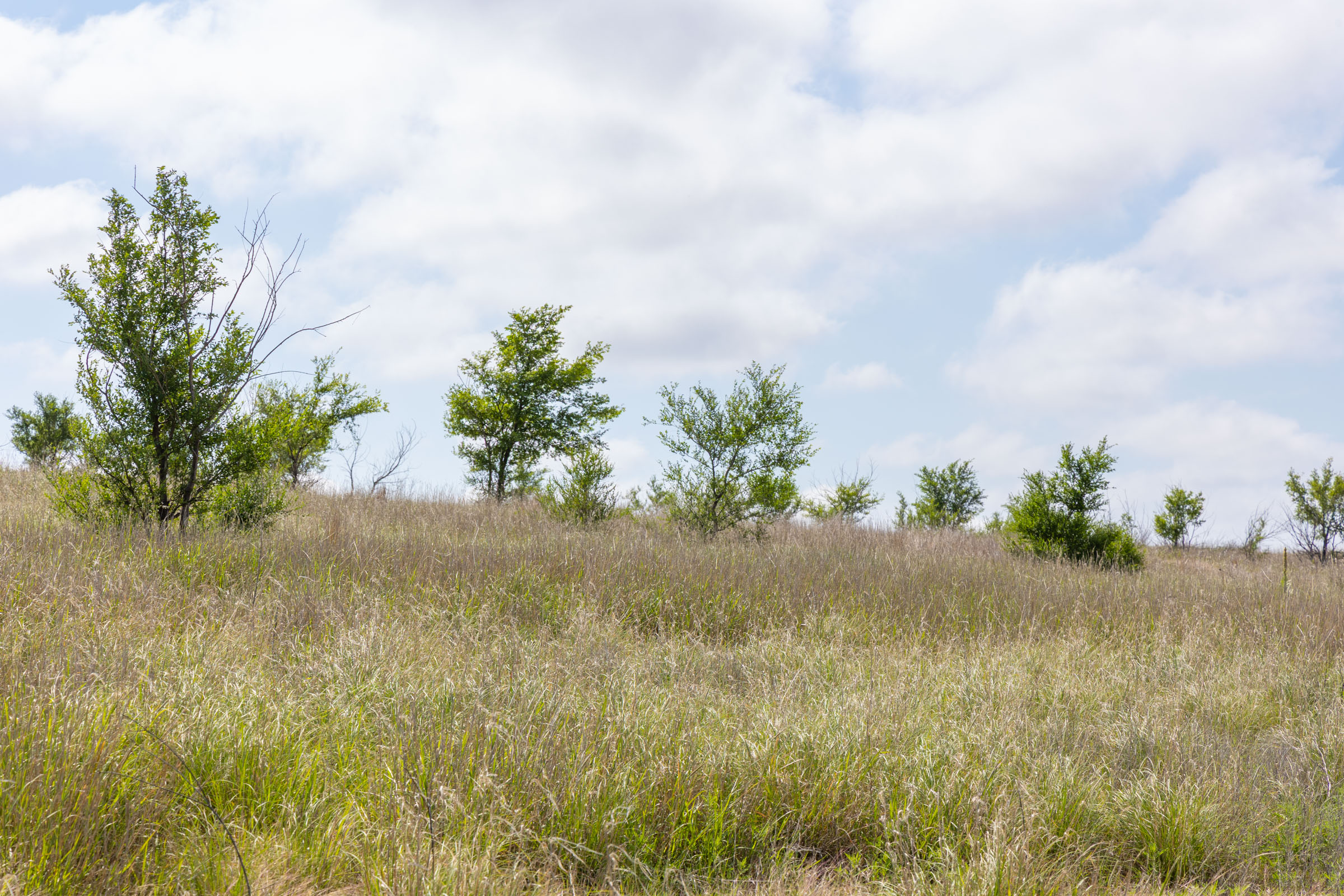Crandall's Corner Tract 8 photo 8