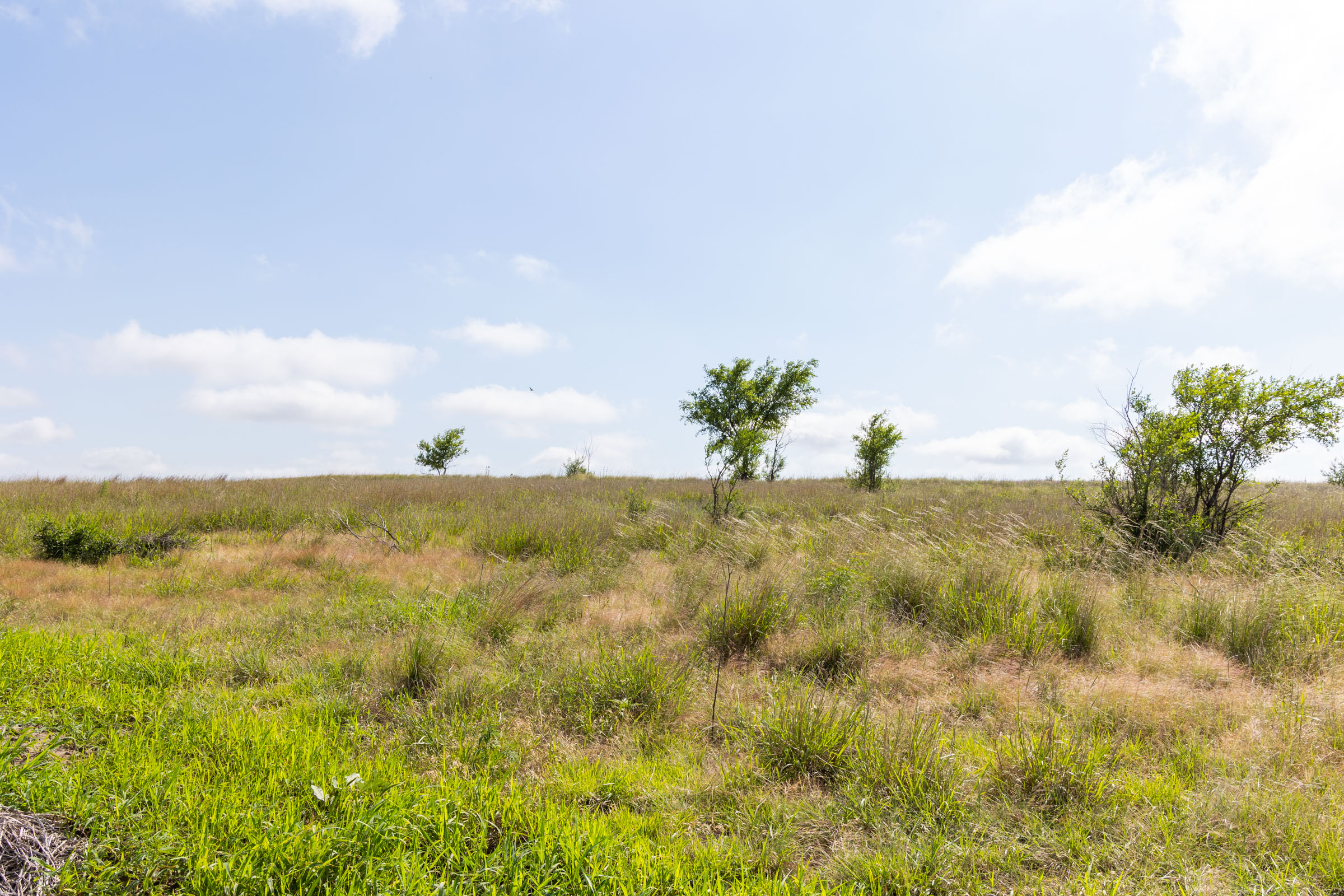 Crandall's Corner Tract 8 photo 7
