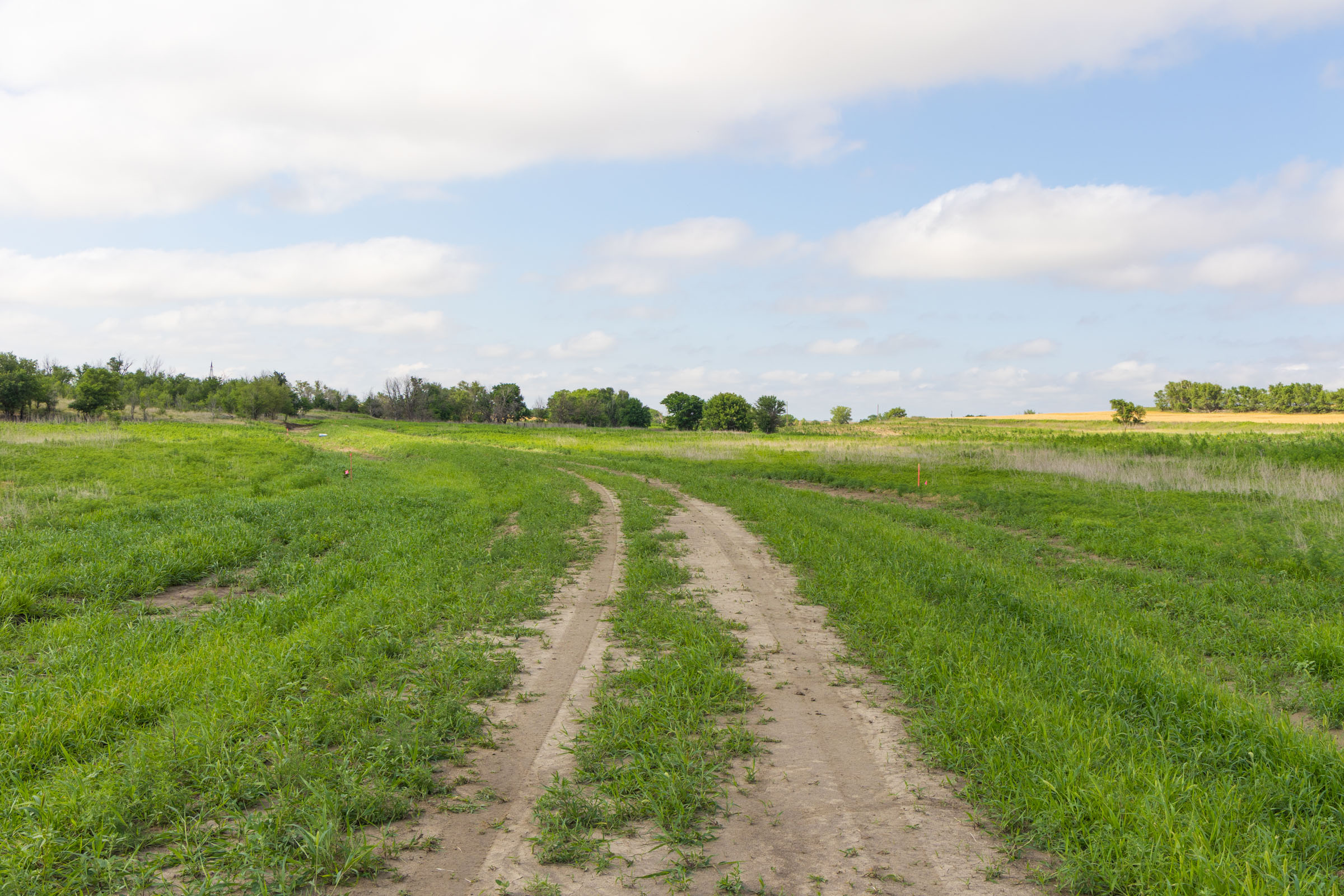 Crandall's Corner Tract 18 photo 3