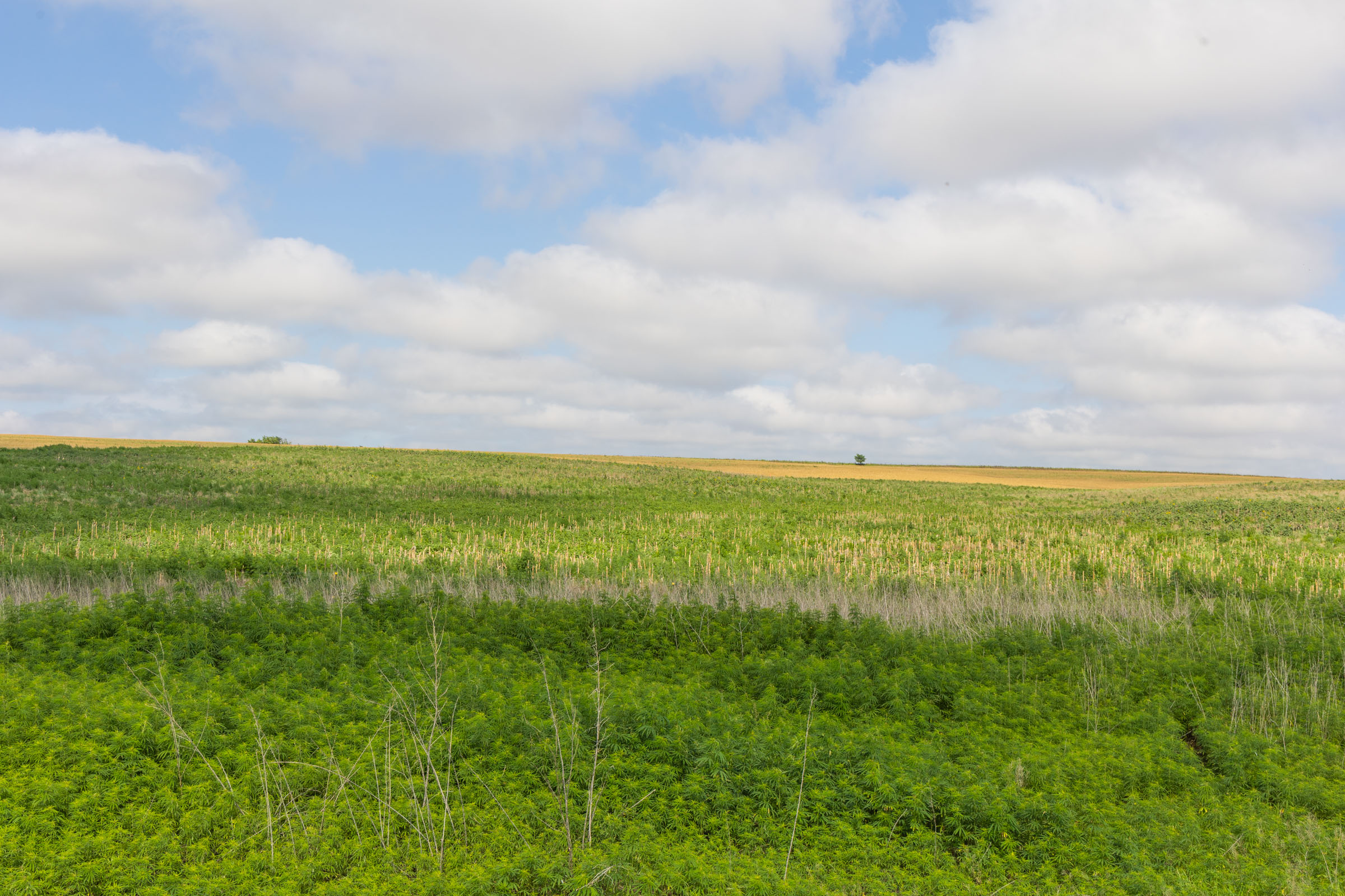 Crandall's Corner Tract 18 photo 7
