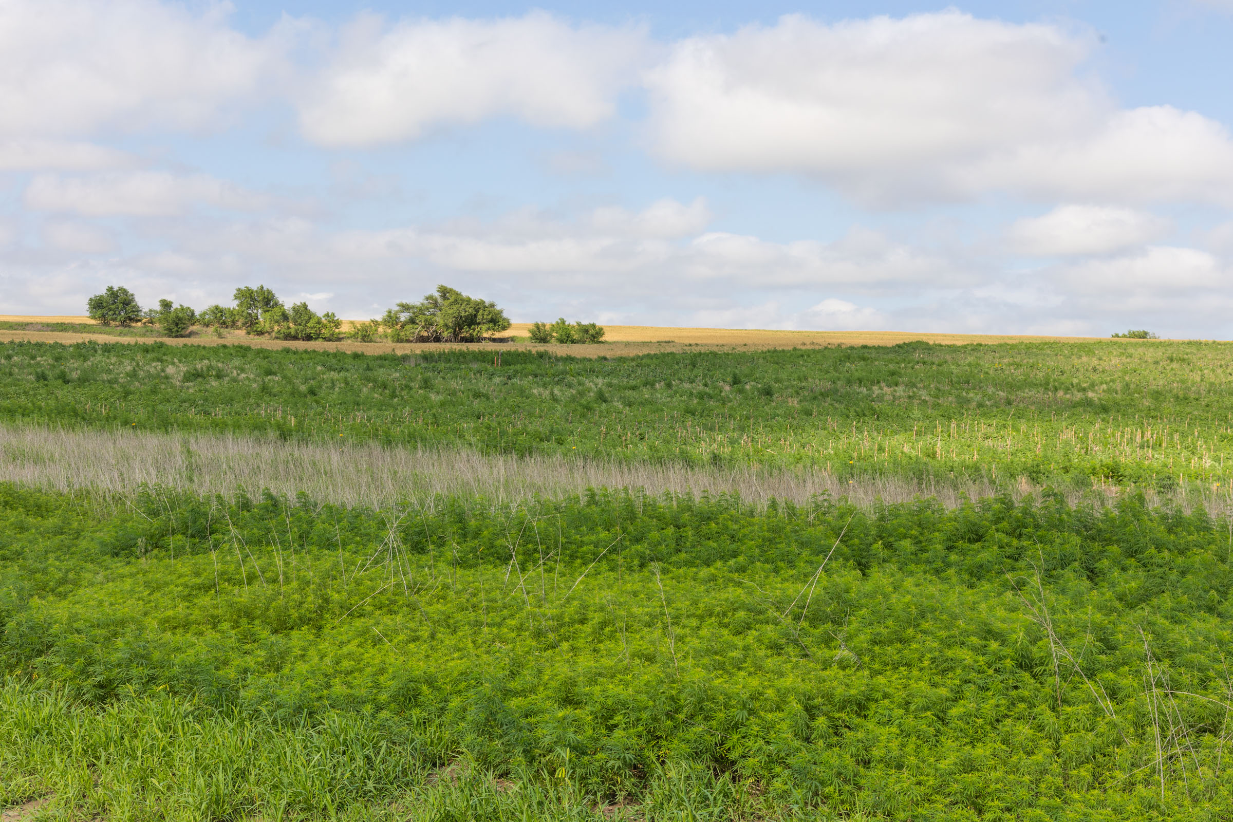 Crandall's Corner Tract 18 photo 9