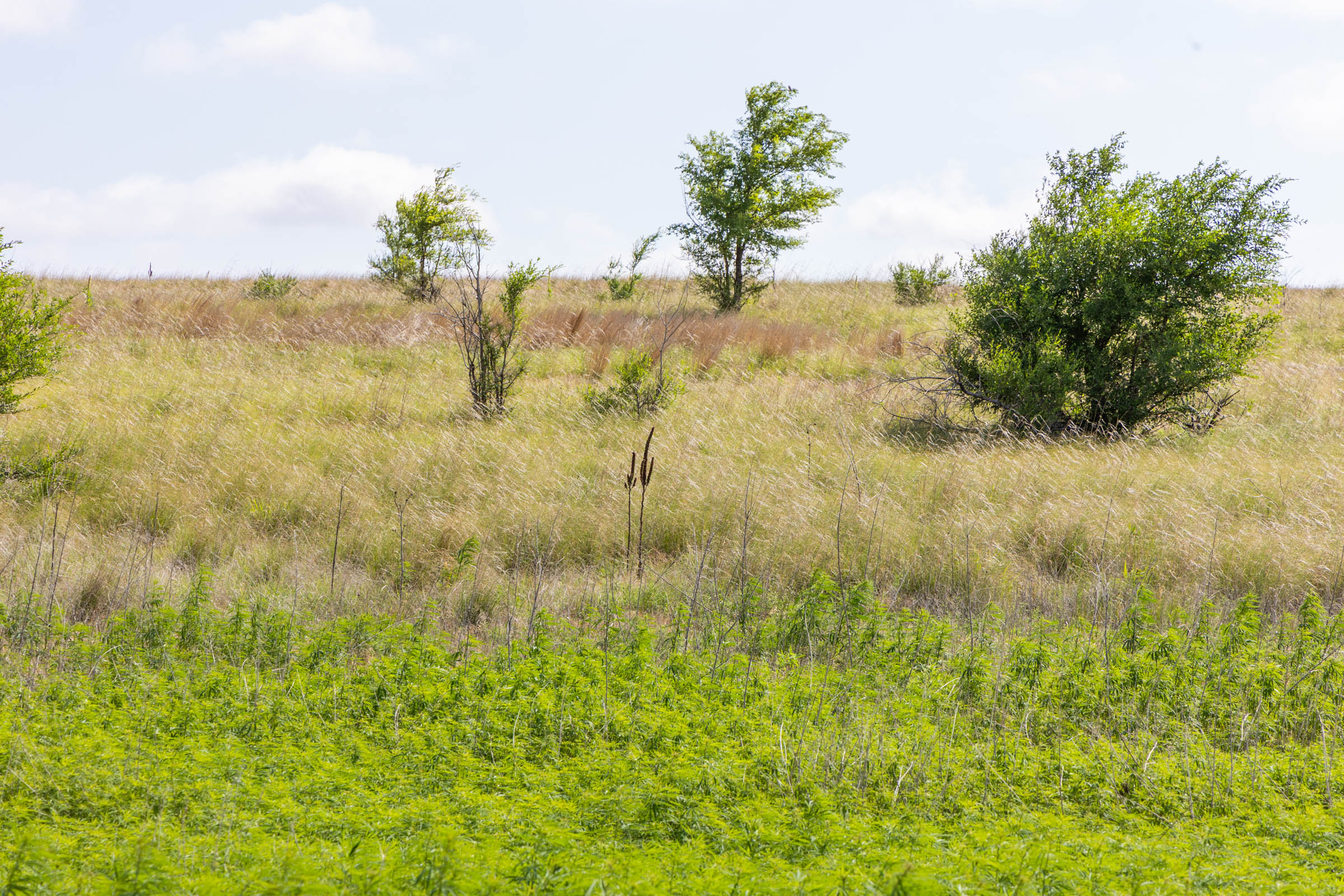 Crandall's Corner Tract 7 photo 4