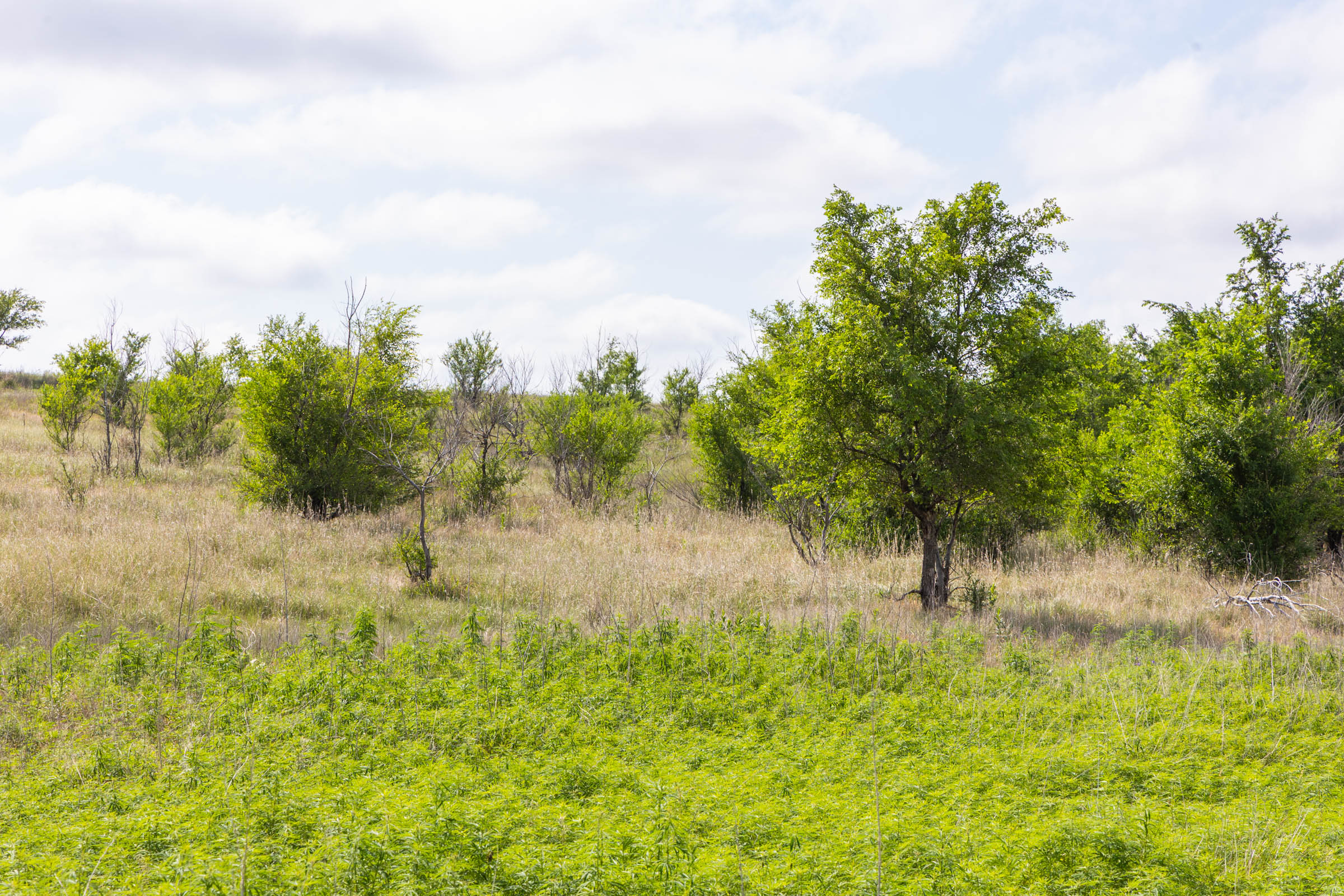 Crandall's Corner Tract 7 photo 3