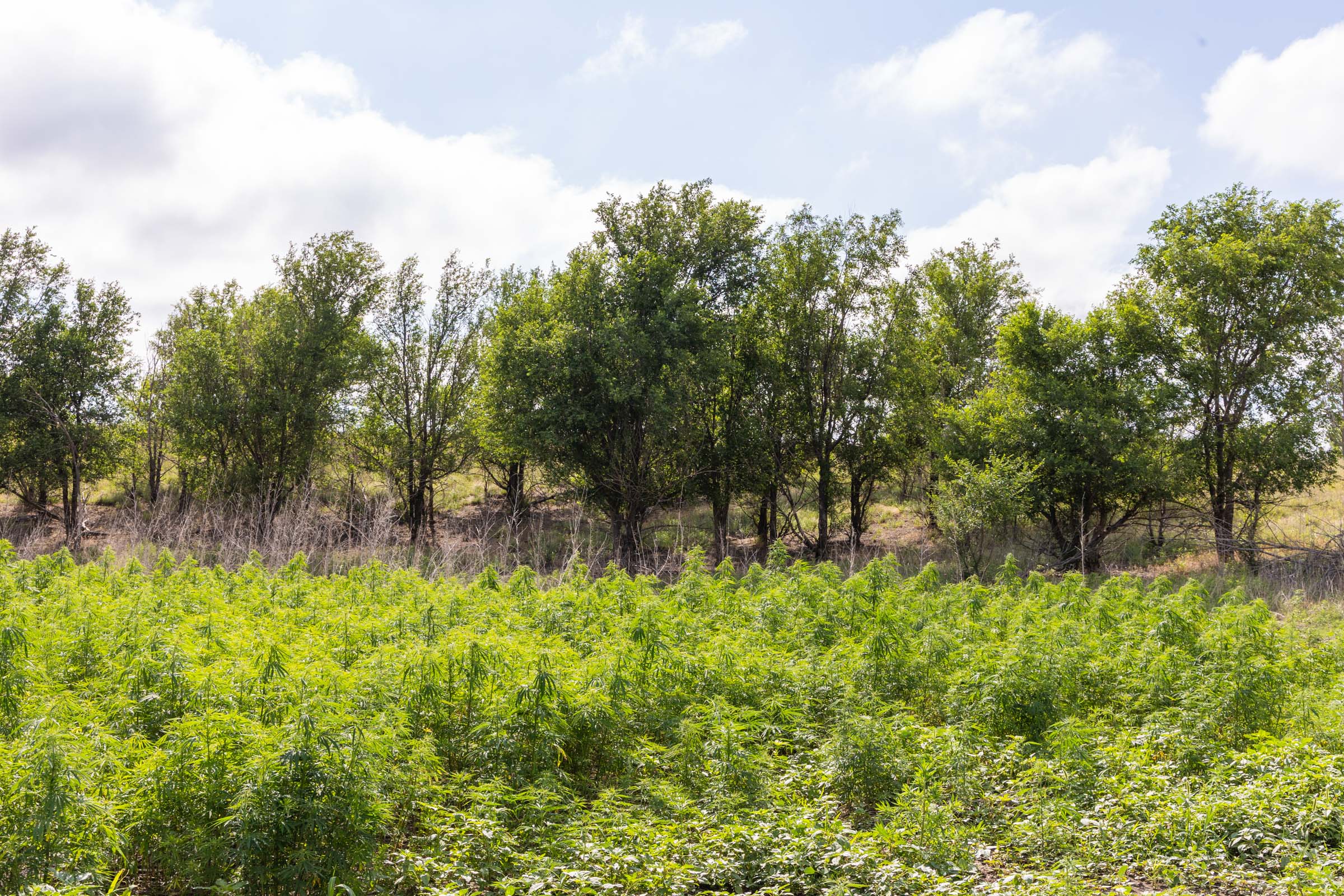 Crandall's Corner Tract 6 photo 6