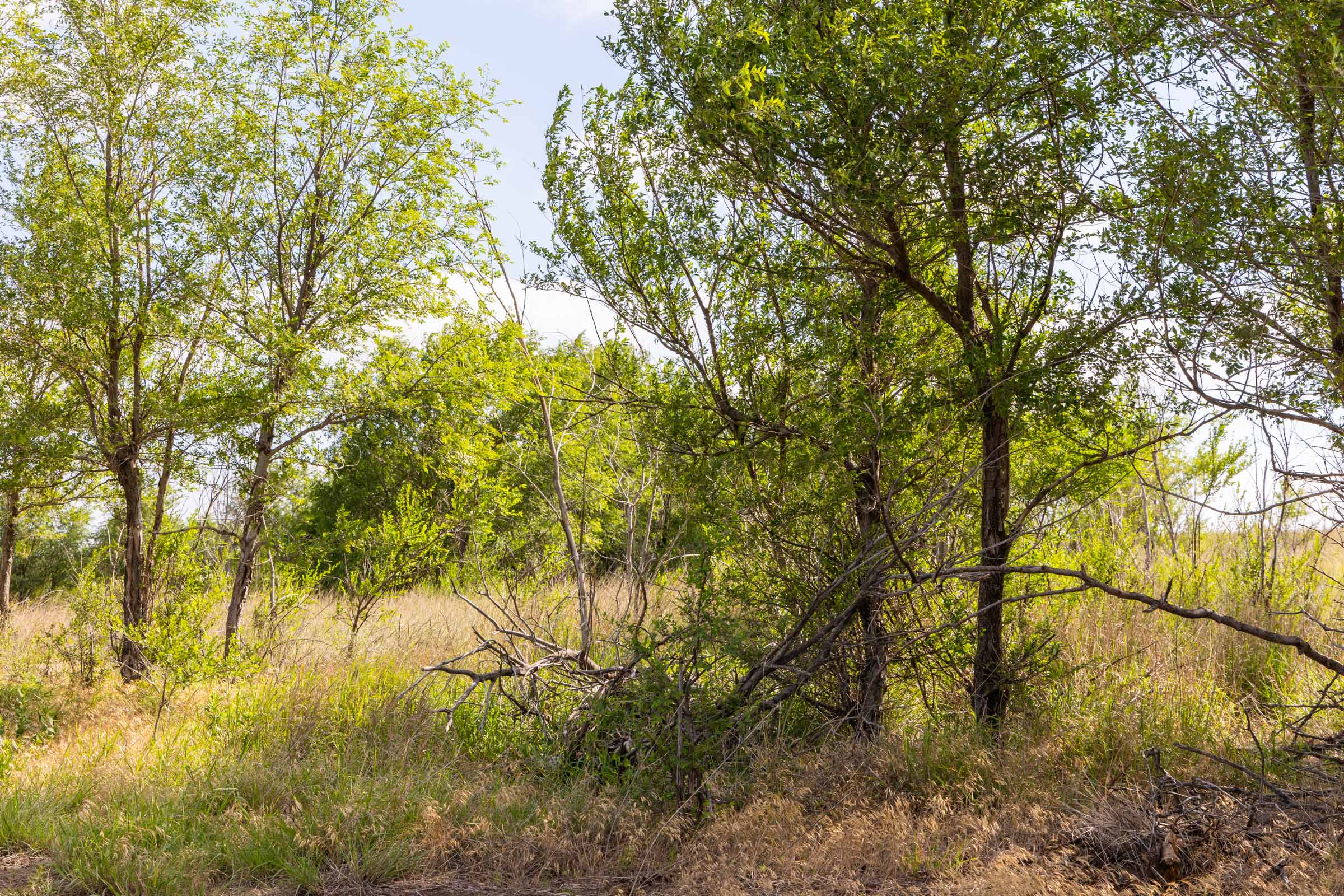Crandall's Corner Tract 6 photo 9