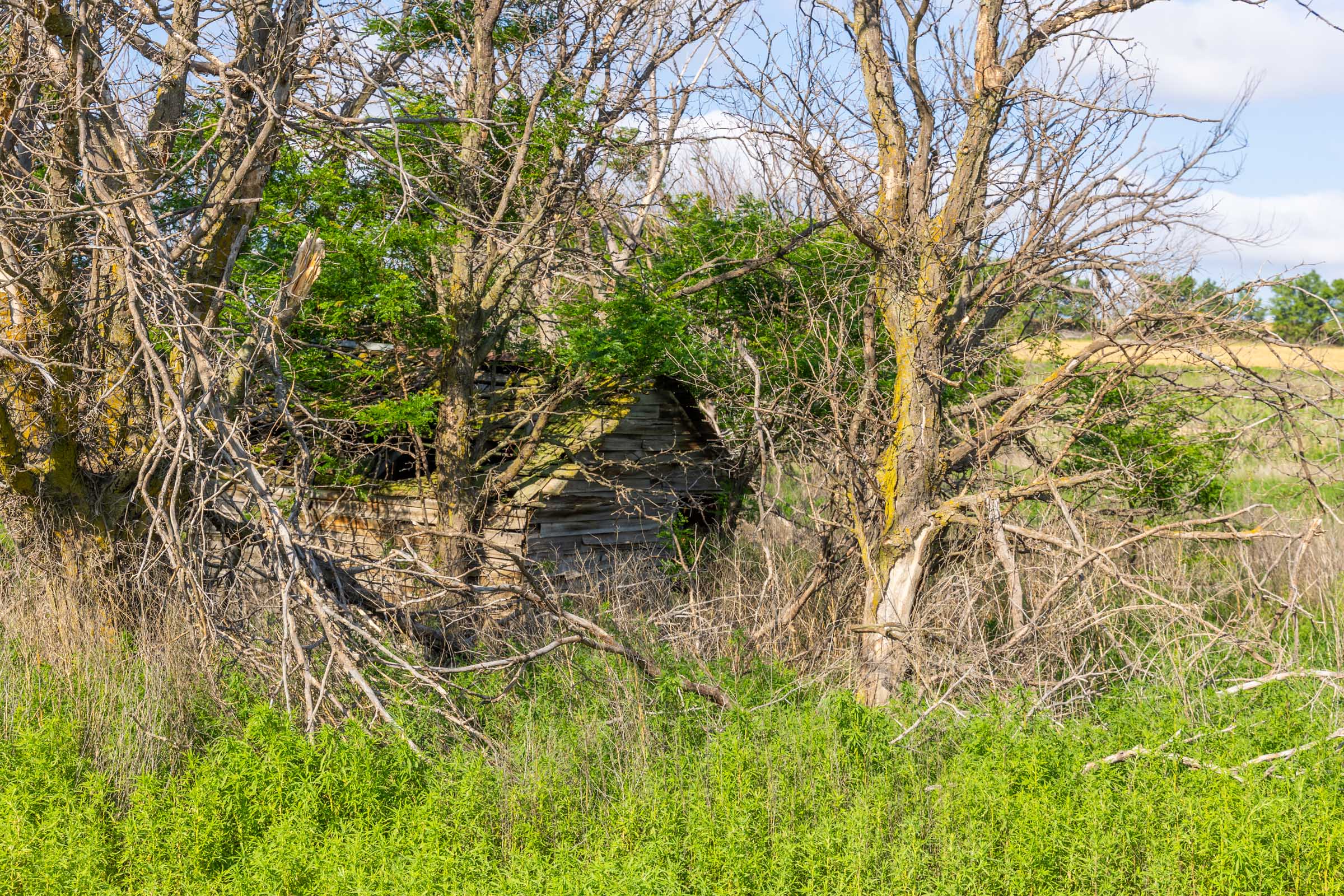 Crandall's Corner Tract 4 photo 10