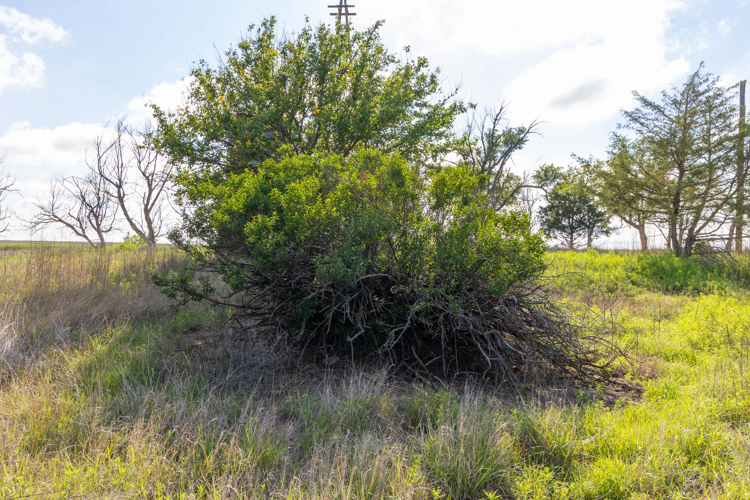 Crandall's Corner Tract 3 photo 5