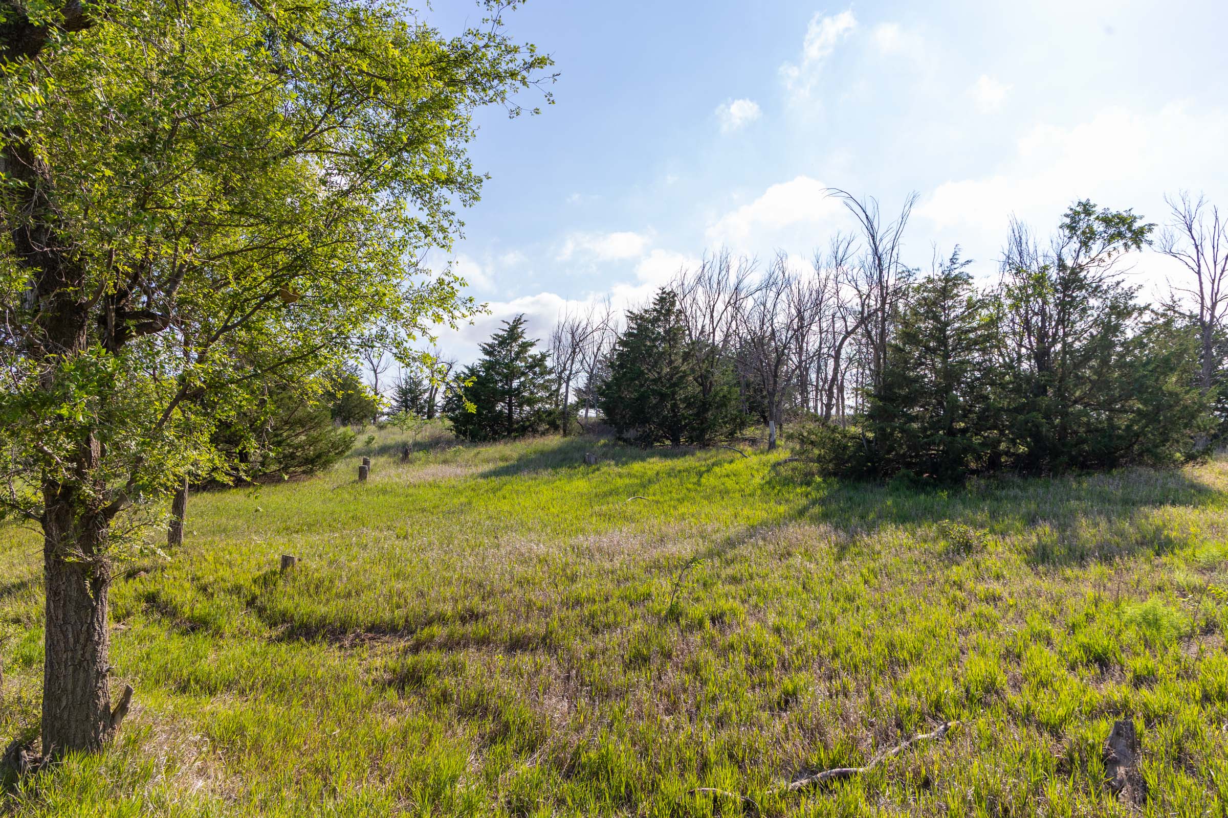 Crandall's Corner Tract 3 photo 11