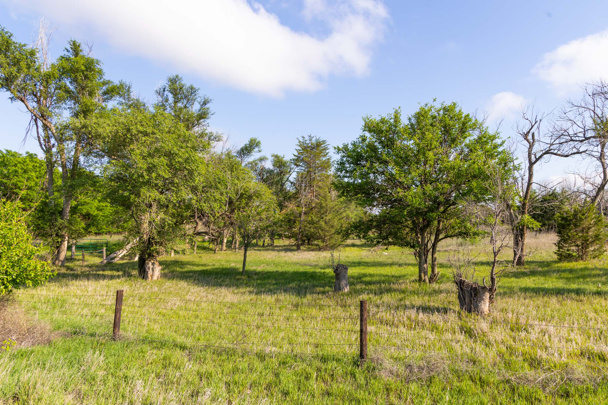 Crandall's Corner Tract 3 photo 2