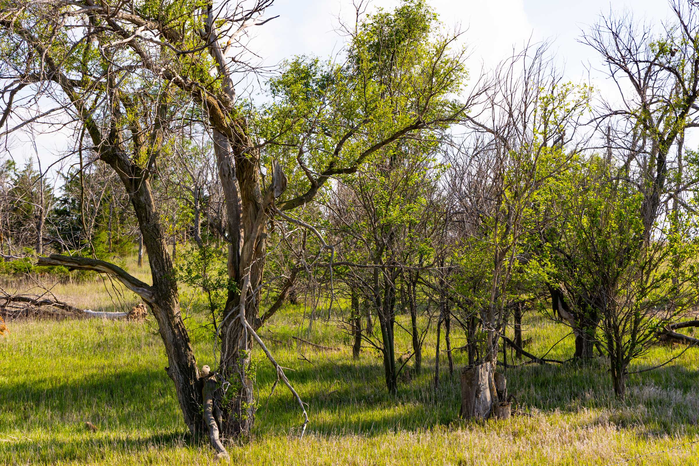Crandall's Corner Tract 3 photo 7