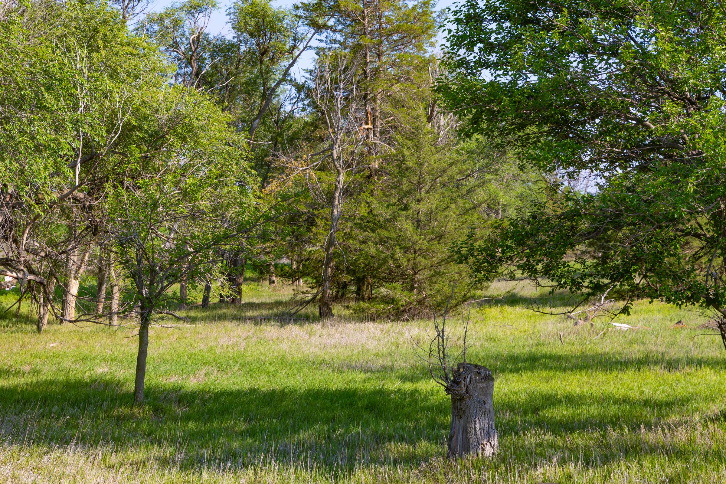 Crandall's Corner Tract 3 photo 4