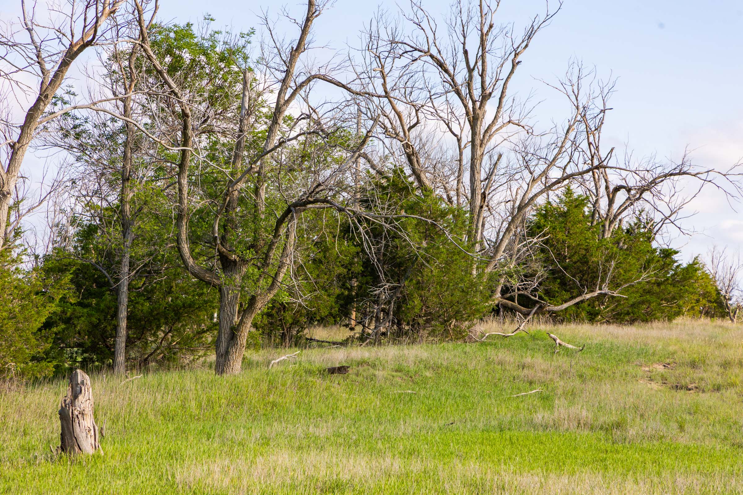 Crandall's Corner Tract 3 photo 6