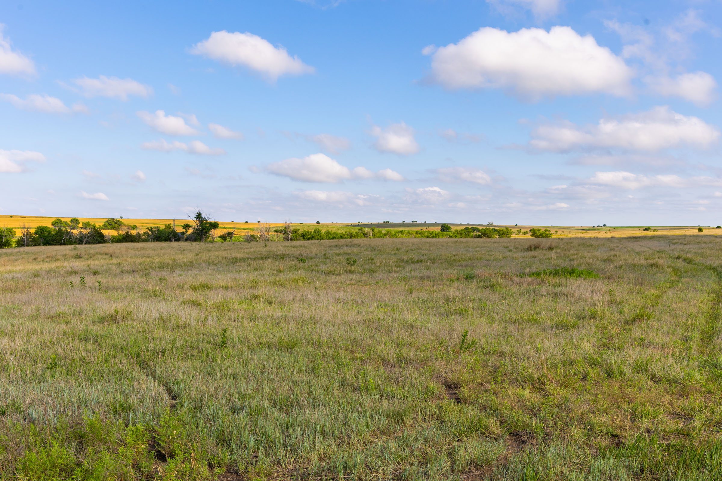 Crandall's Corner Tract 1 photo 12