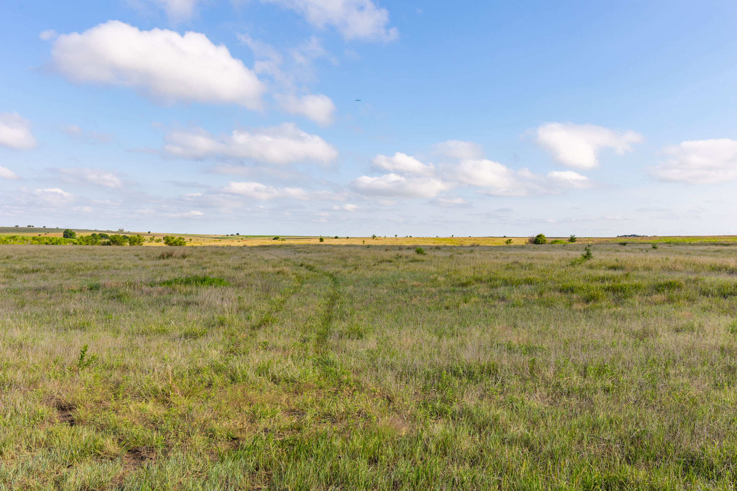 Crandall's Corner Tract 1 photo 10