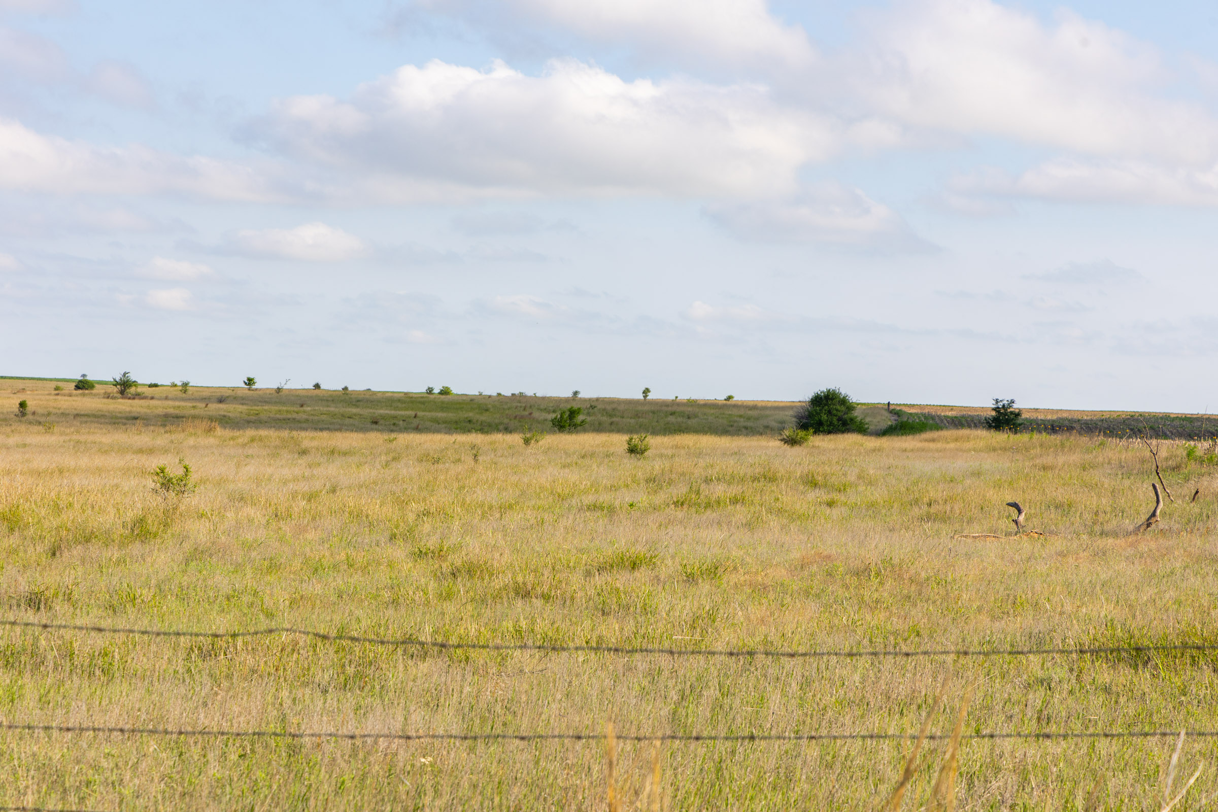 Crandall's Corner Tract 1 photo 4