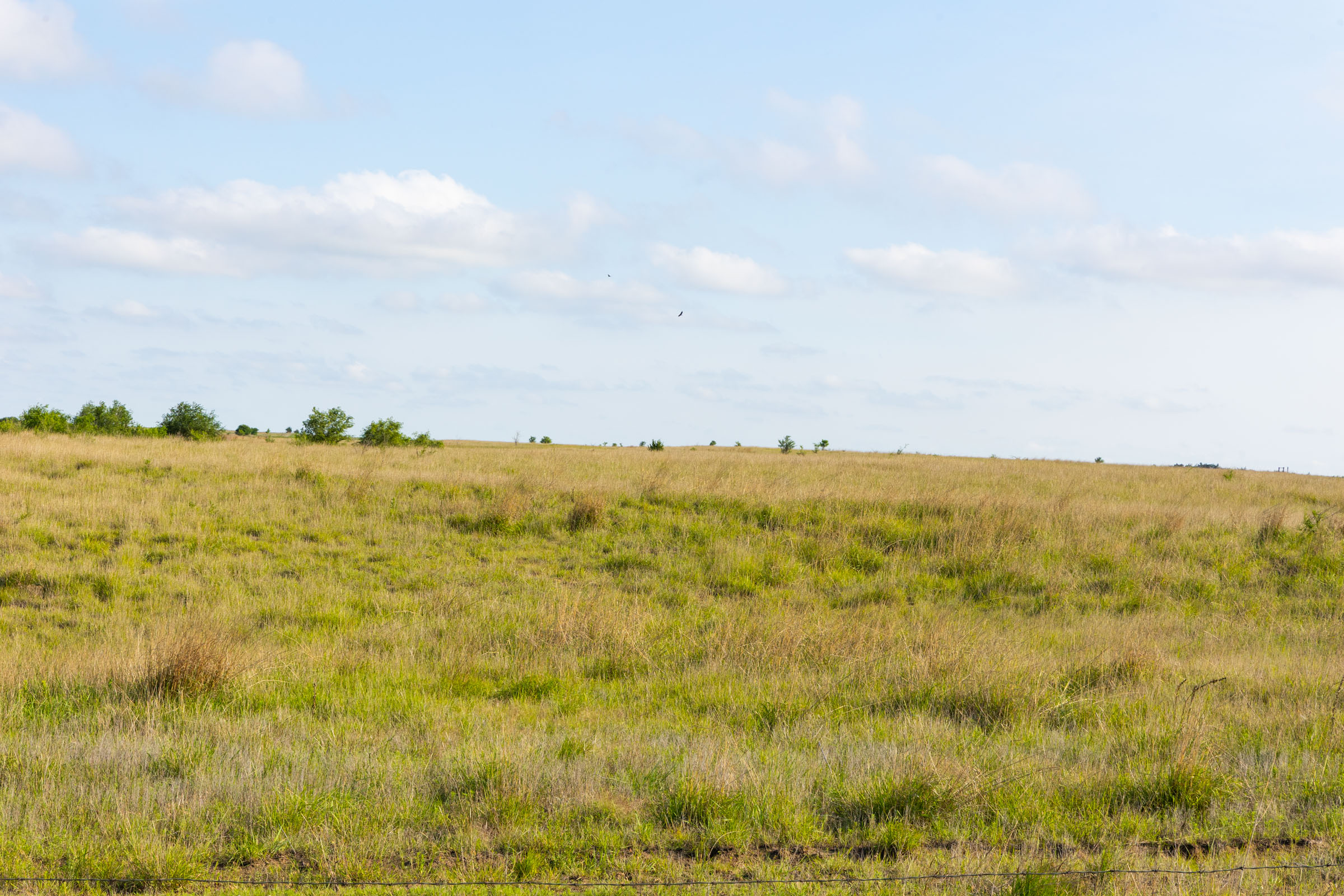 Crandall's Corner Tract 2 photo 5