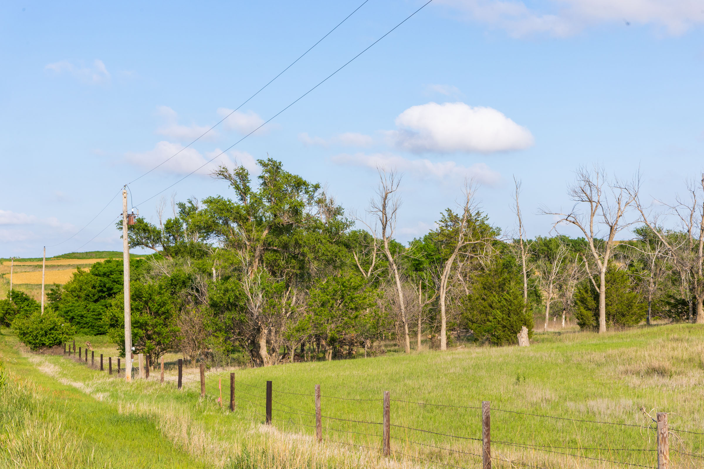 Crandall's Corner Tract 2 photo 9