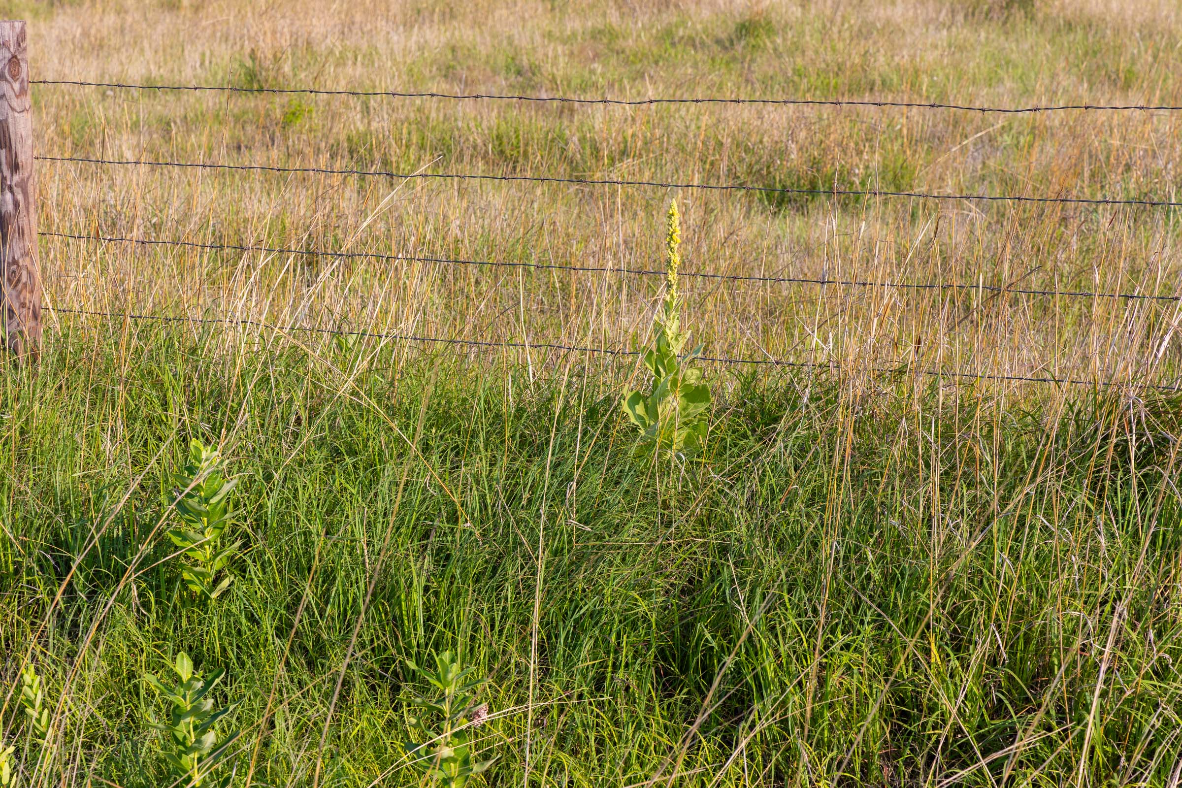 Crandall's Corner Tract 2 photo 4