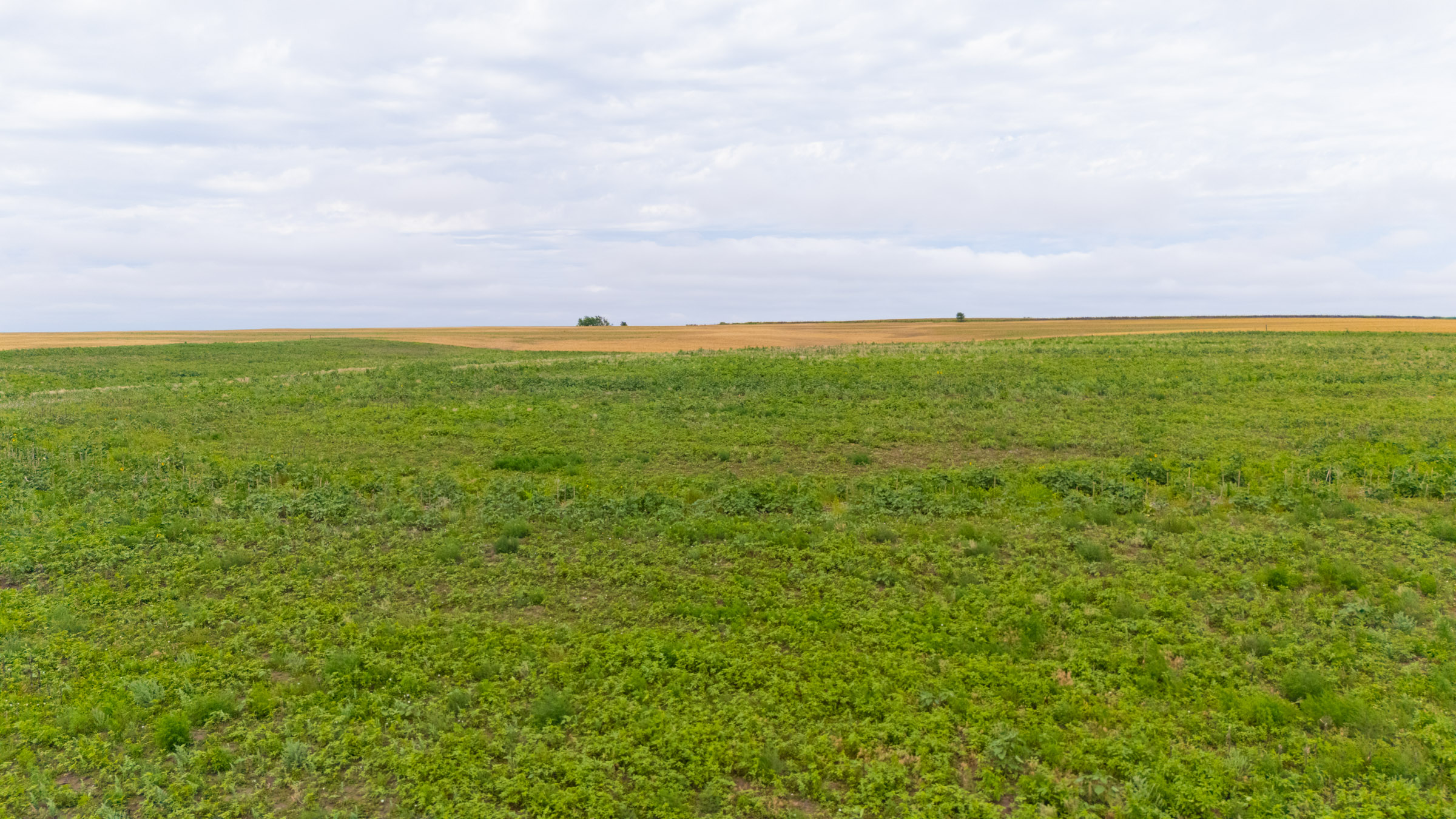 Crandall's Corner Tract 7 photo 10