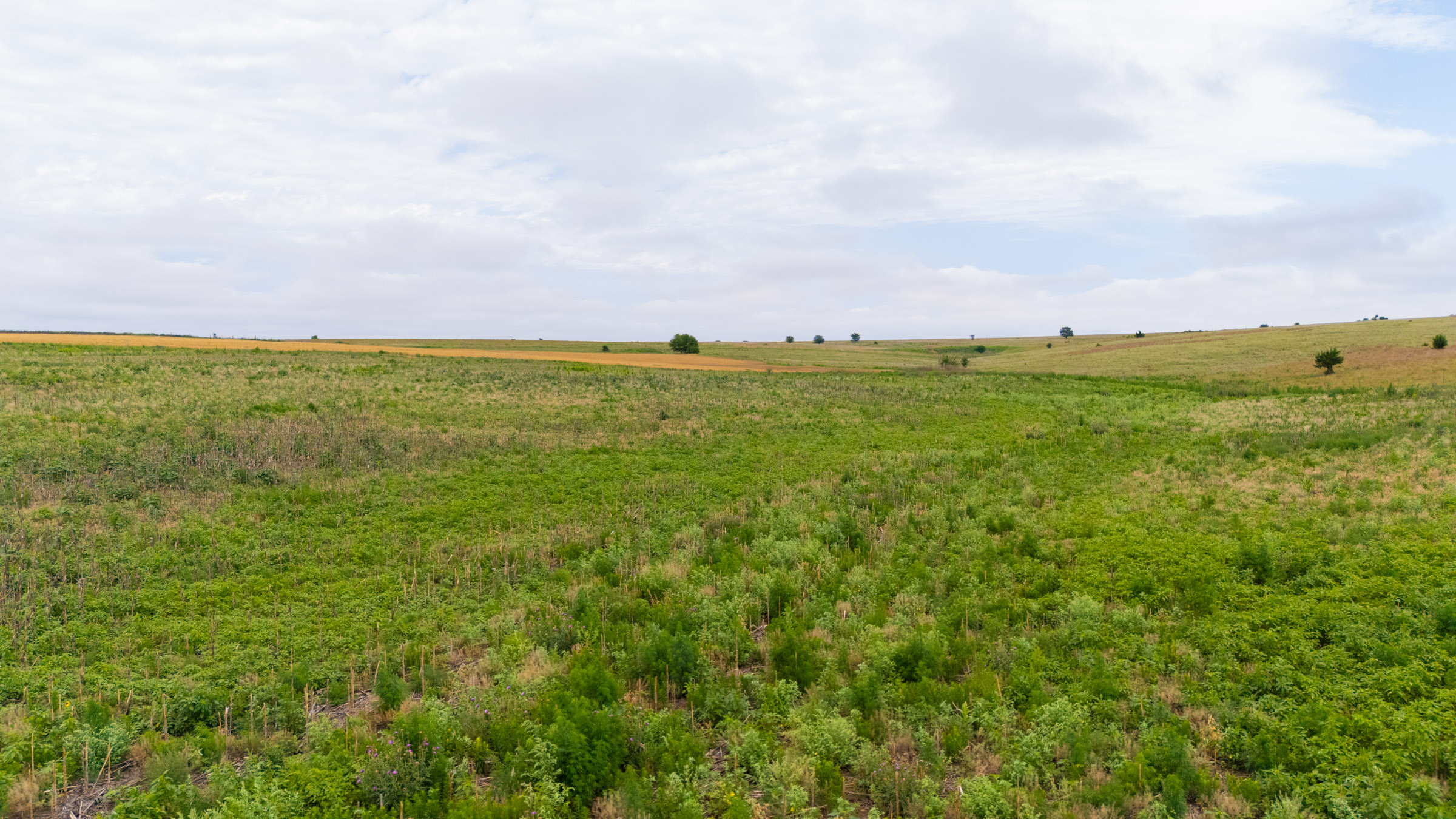 Crandall's Corner Tract 6 photo 5