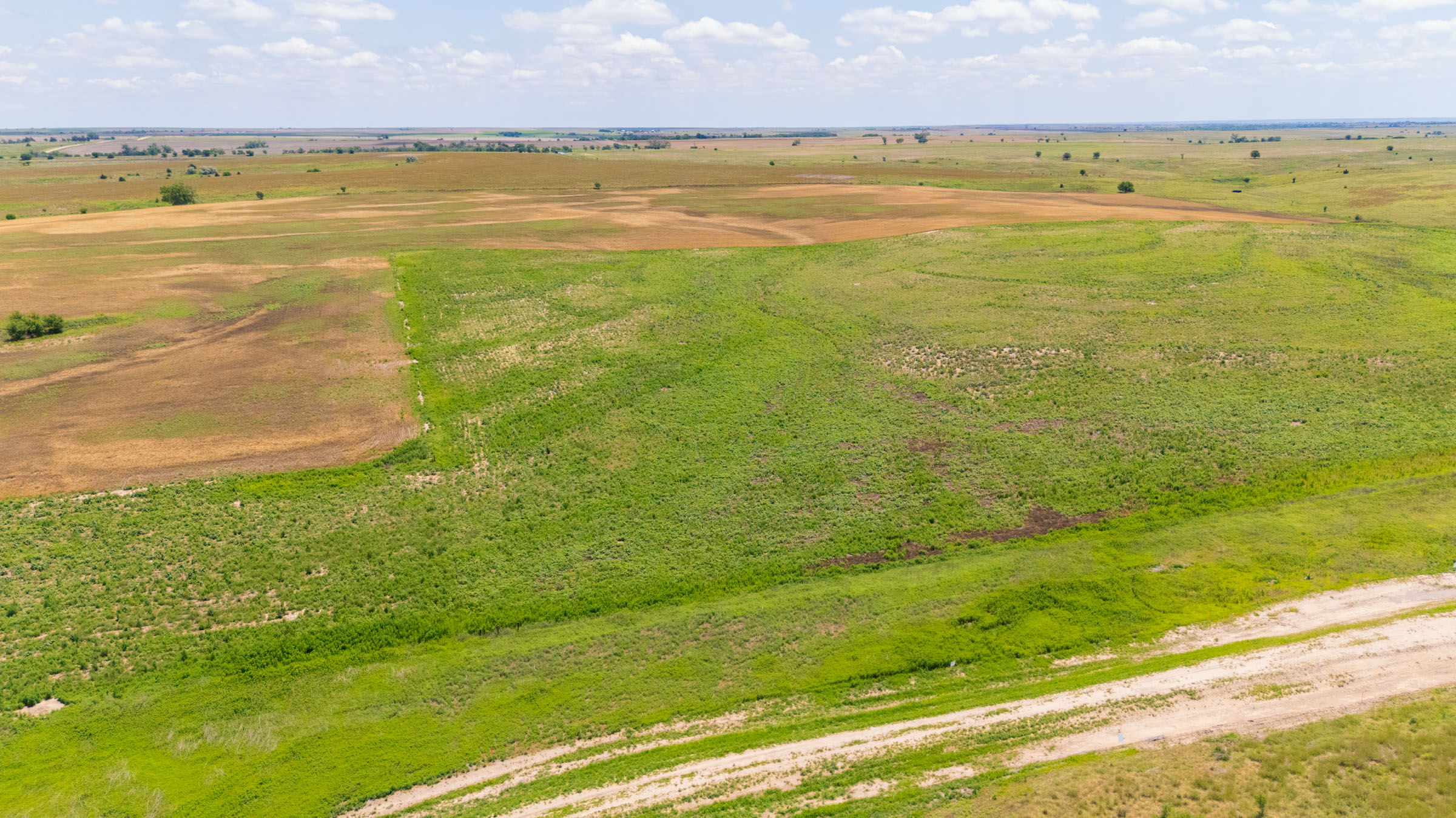 Crandall's Corner Tract 5 photo 4