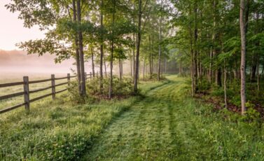 how much land can you buy for 500 a month