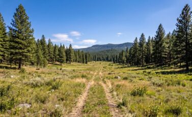 off grid raw land